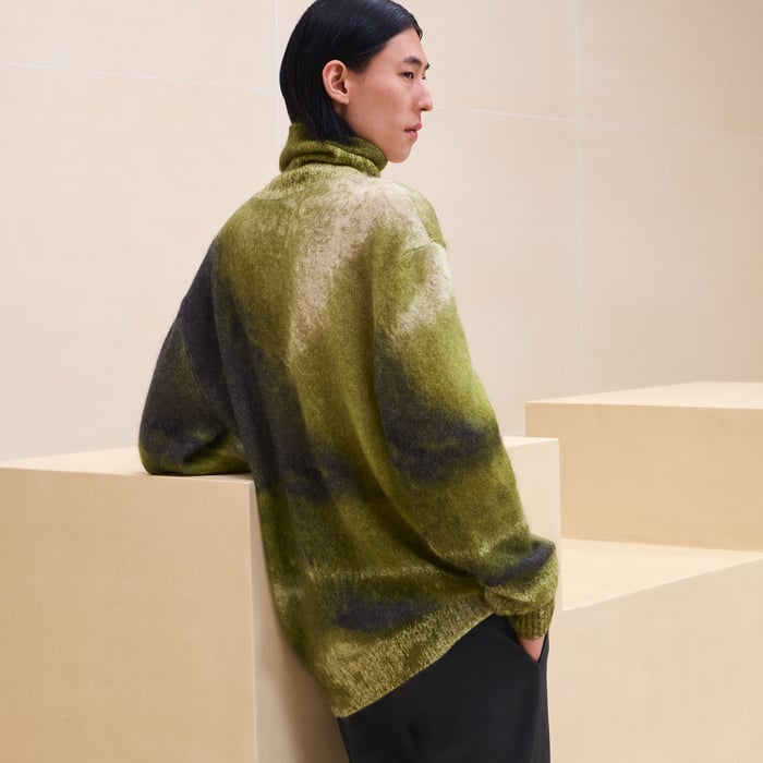 Anis "Reflets Equestres" Turtleneck Sweater