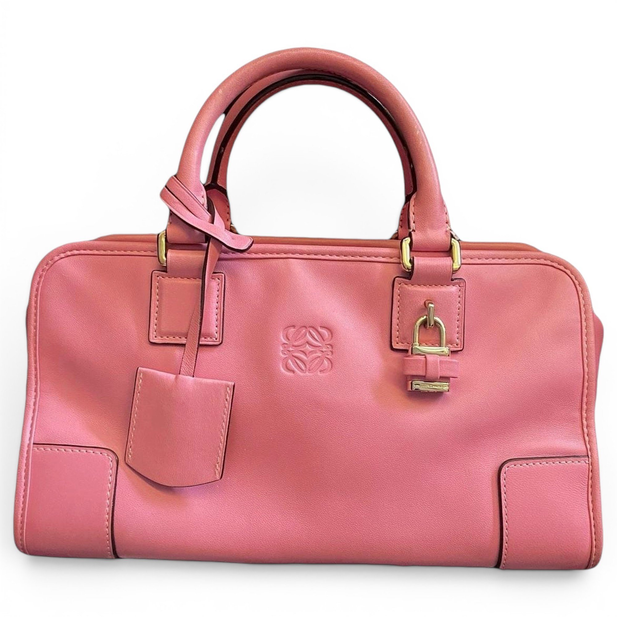 Amazona leather handbag