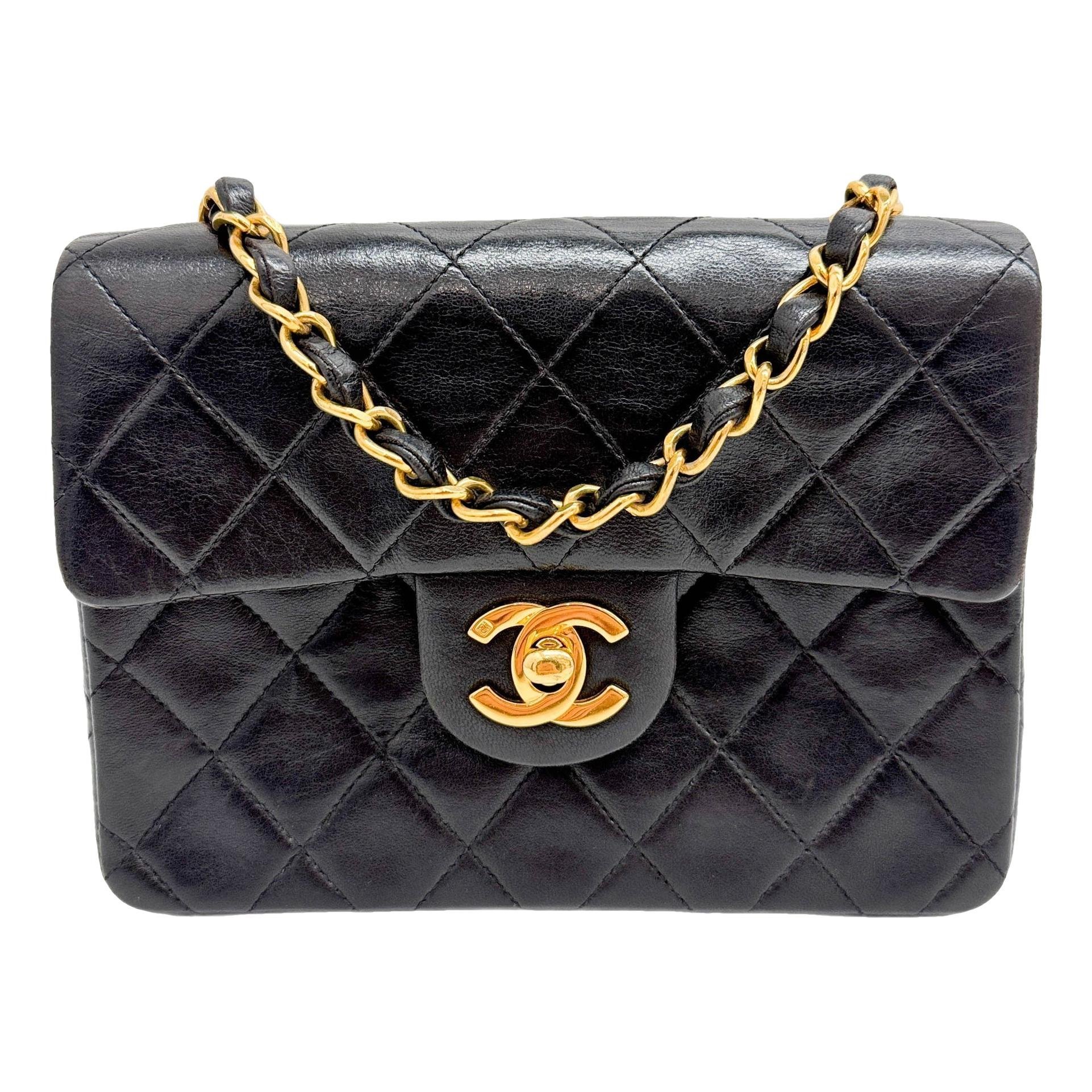 Timeless/Classique leather mini bag