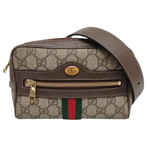 Gucci Ophidia leather handbag
