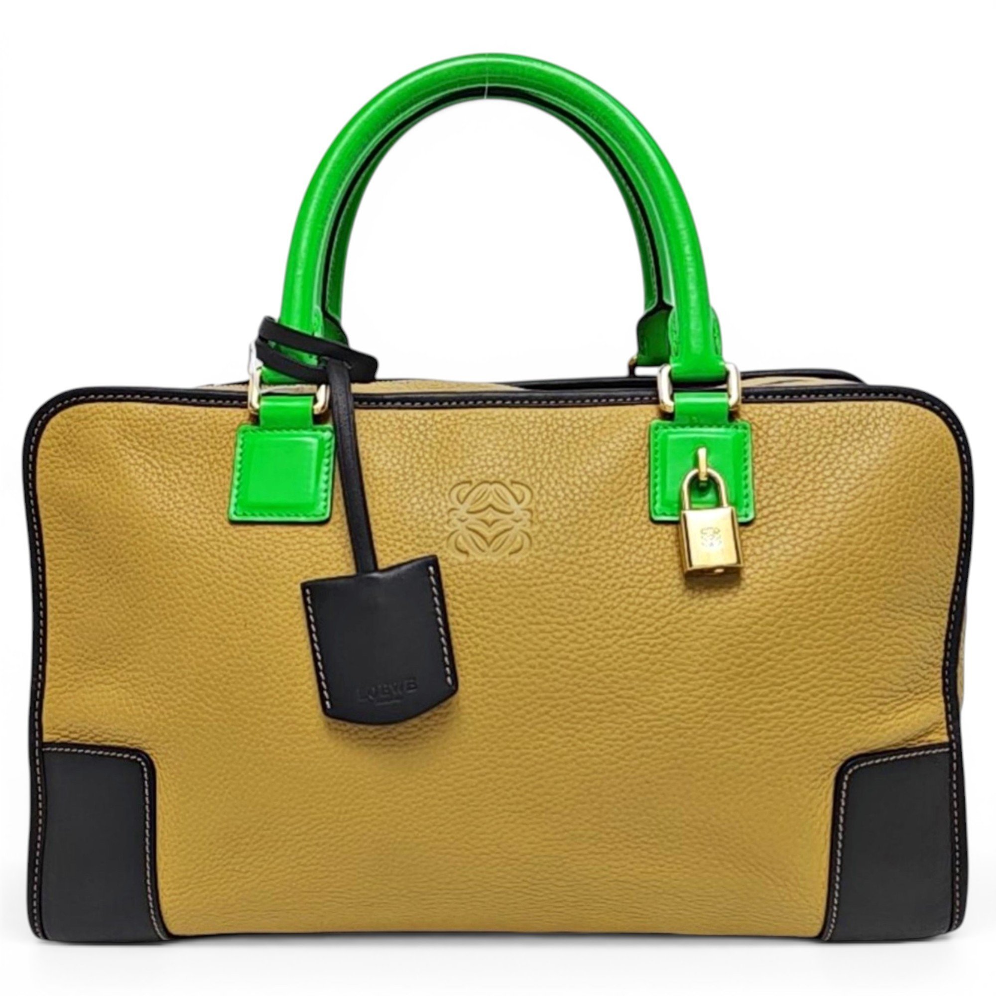 Amazona leather handbag