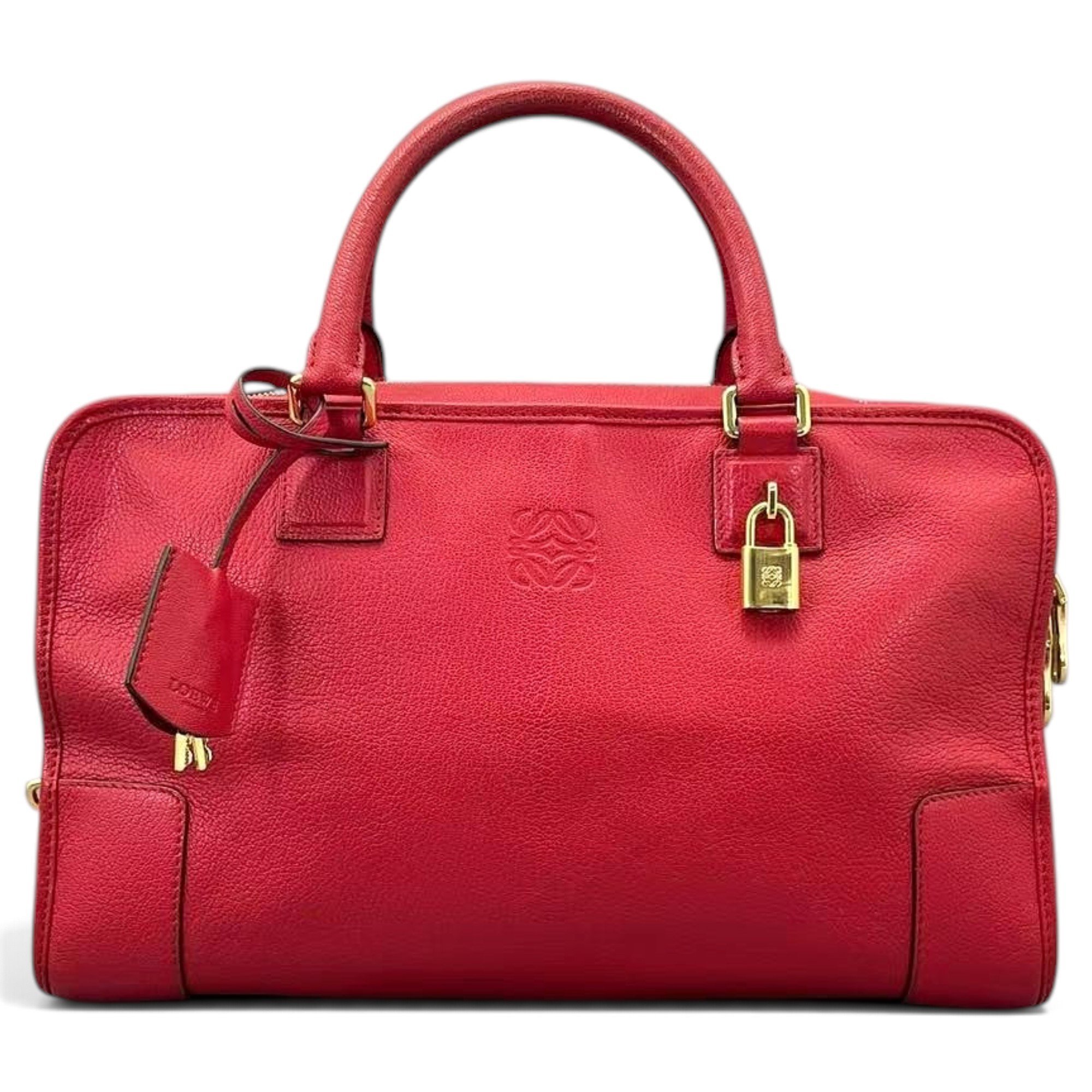 Amazona leather handbag