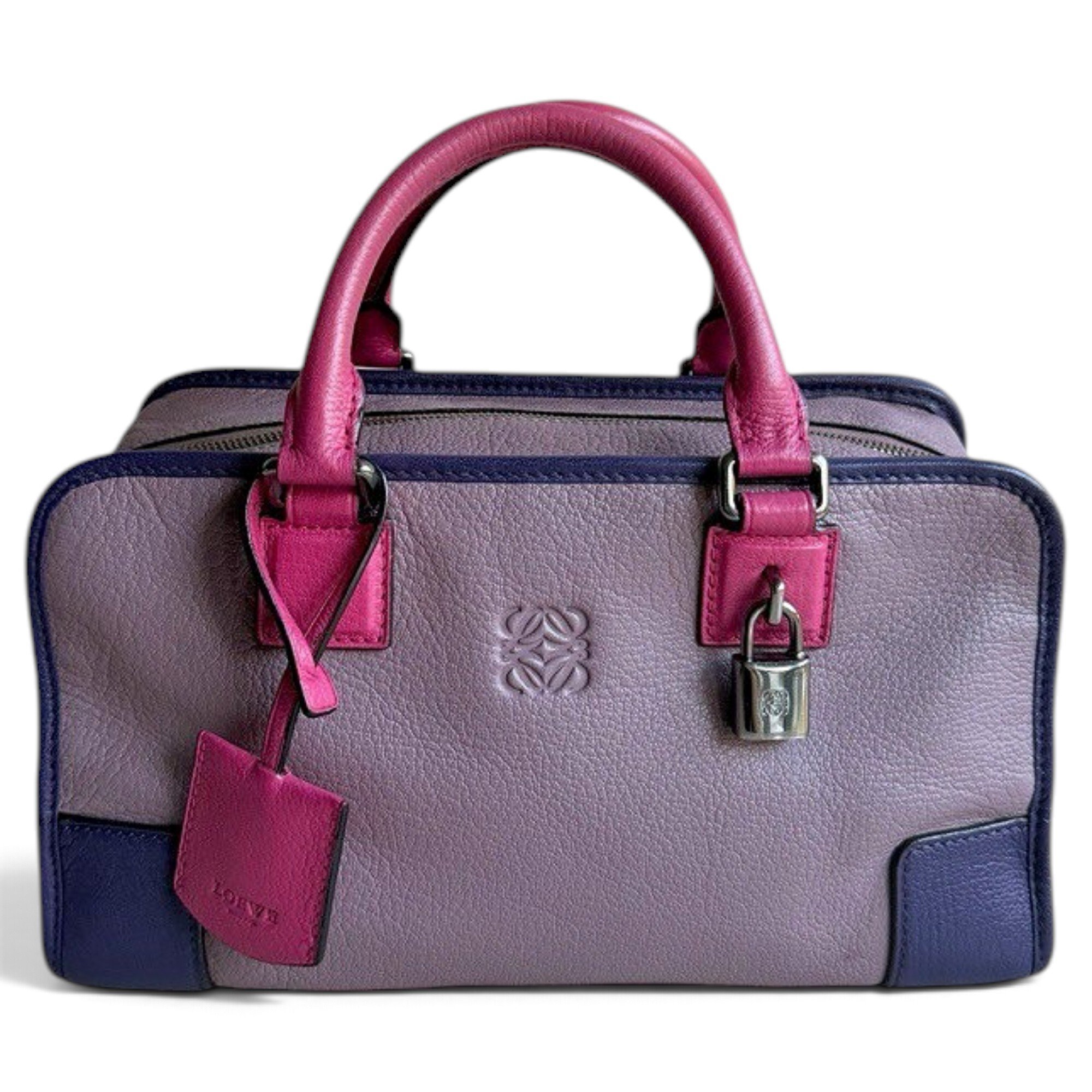Amazona leather handbag