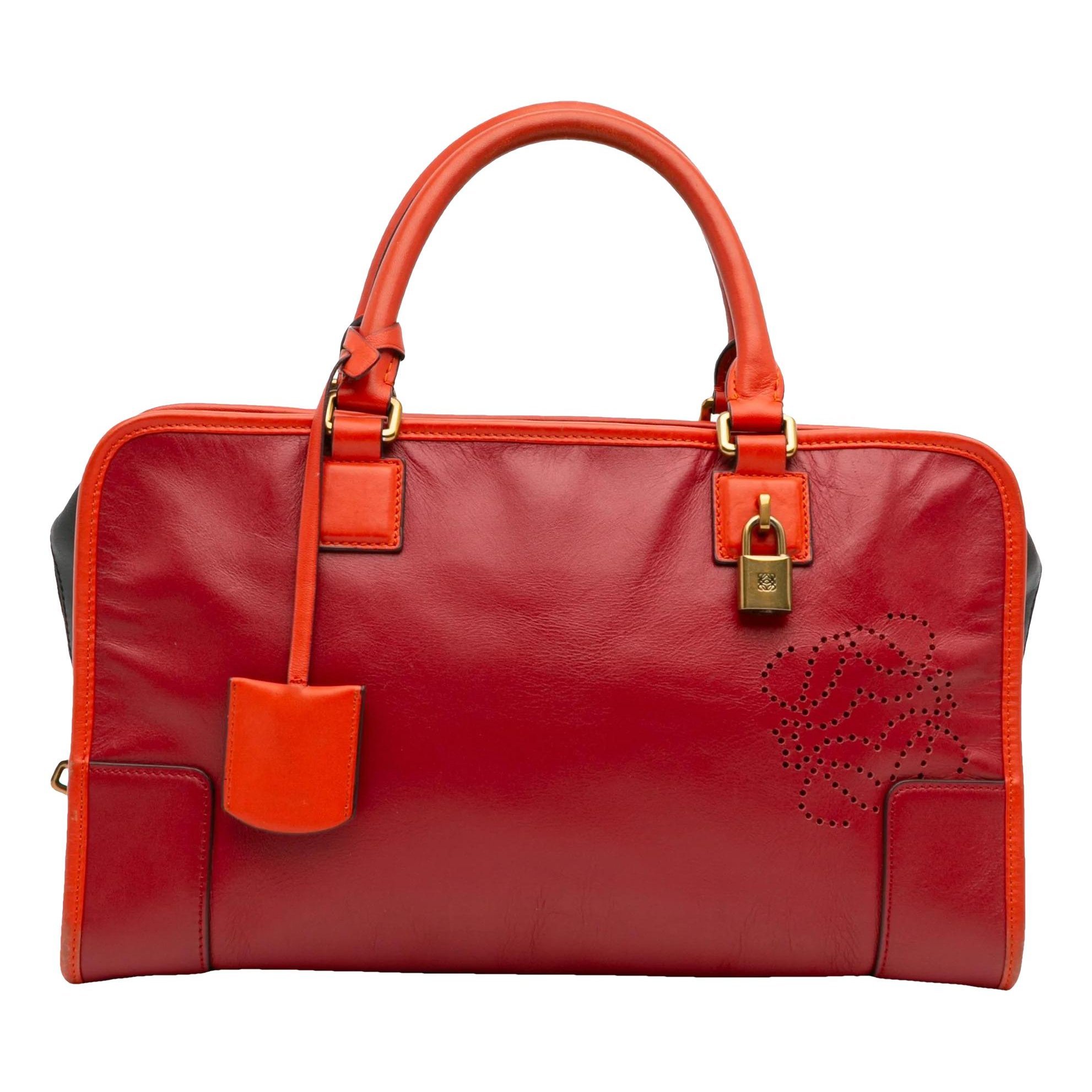 Loewe Amazona leather bag