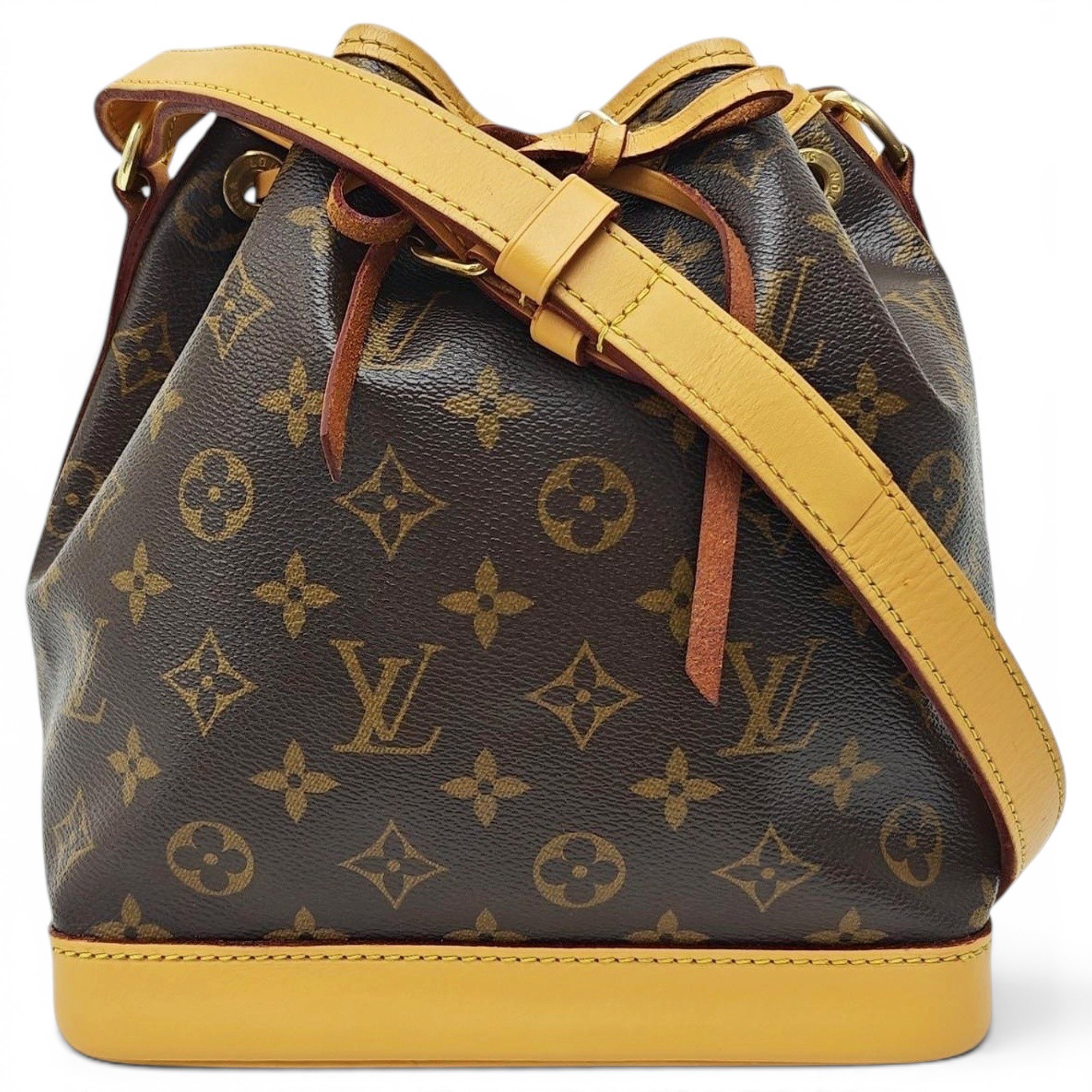 Nano Noé leather handbag