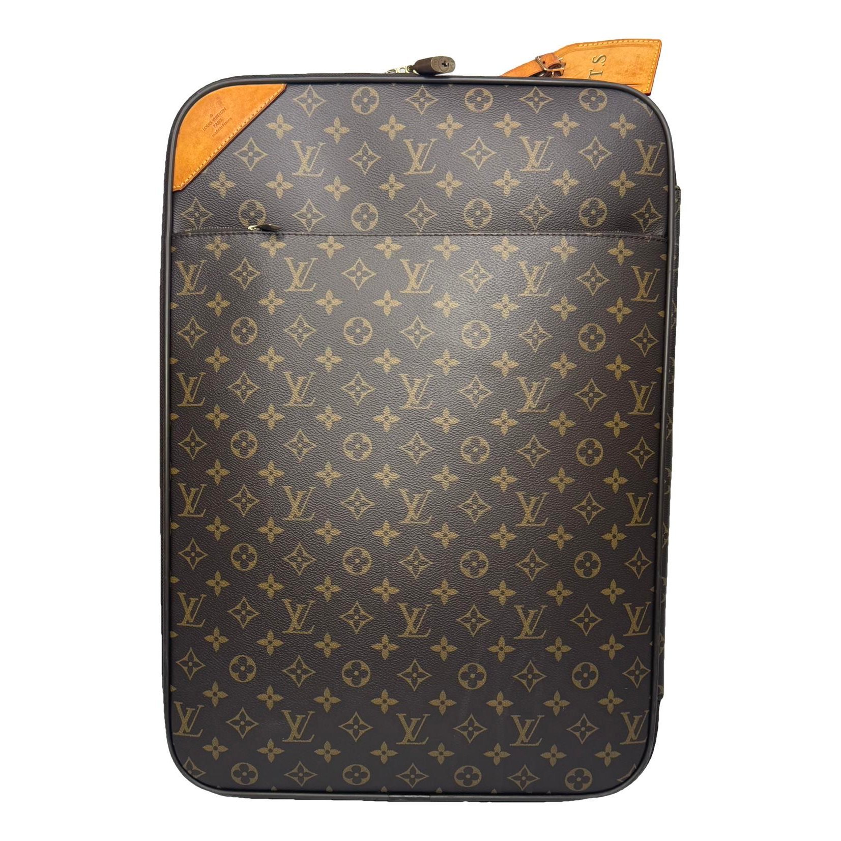 Pegase leather travel bag