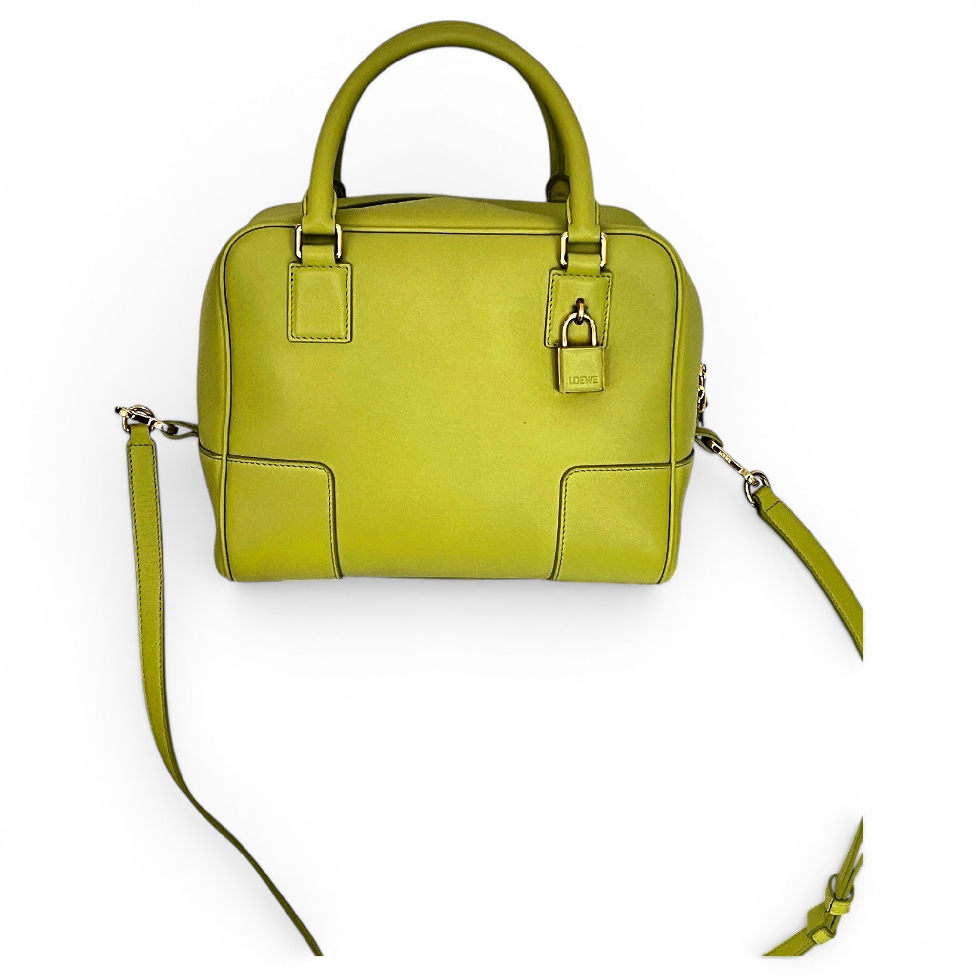 Amazona 75 leather handbag