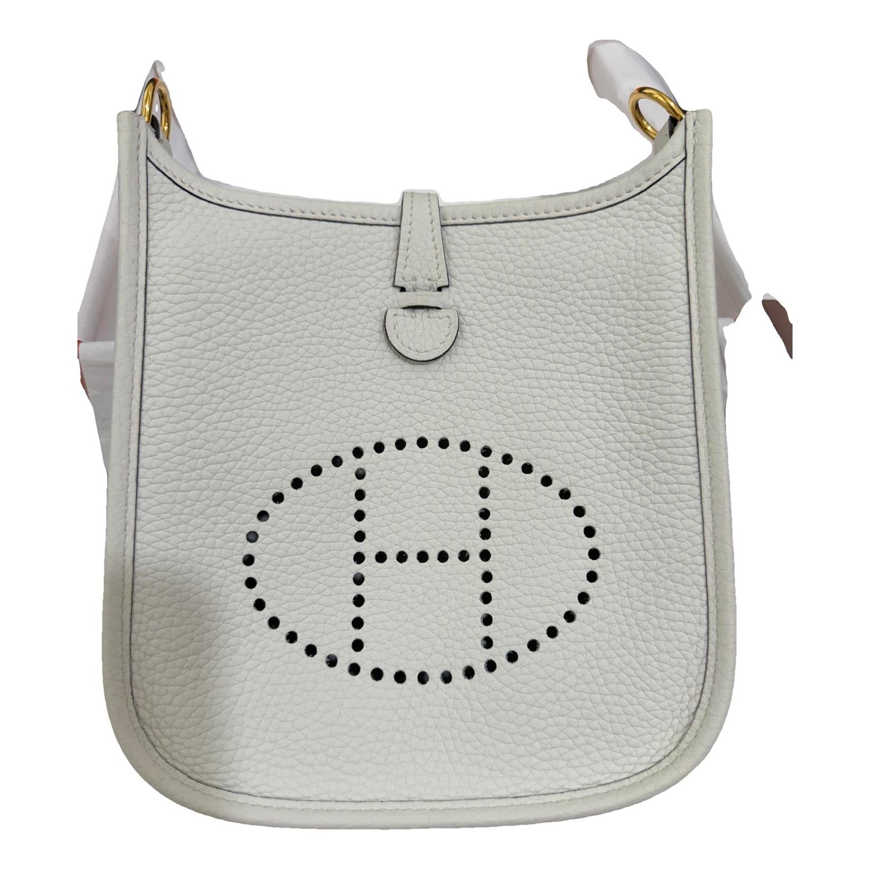 Mini Evelyne leather crossbody bag