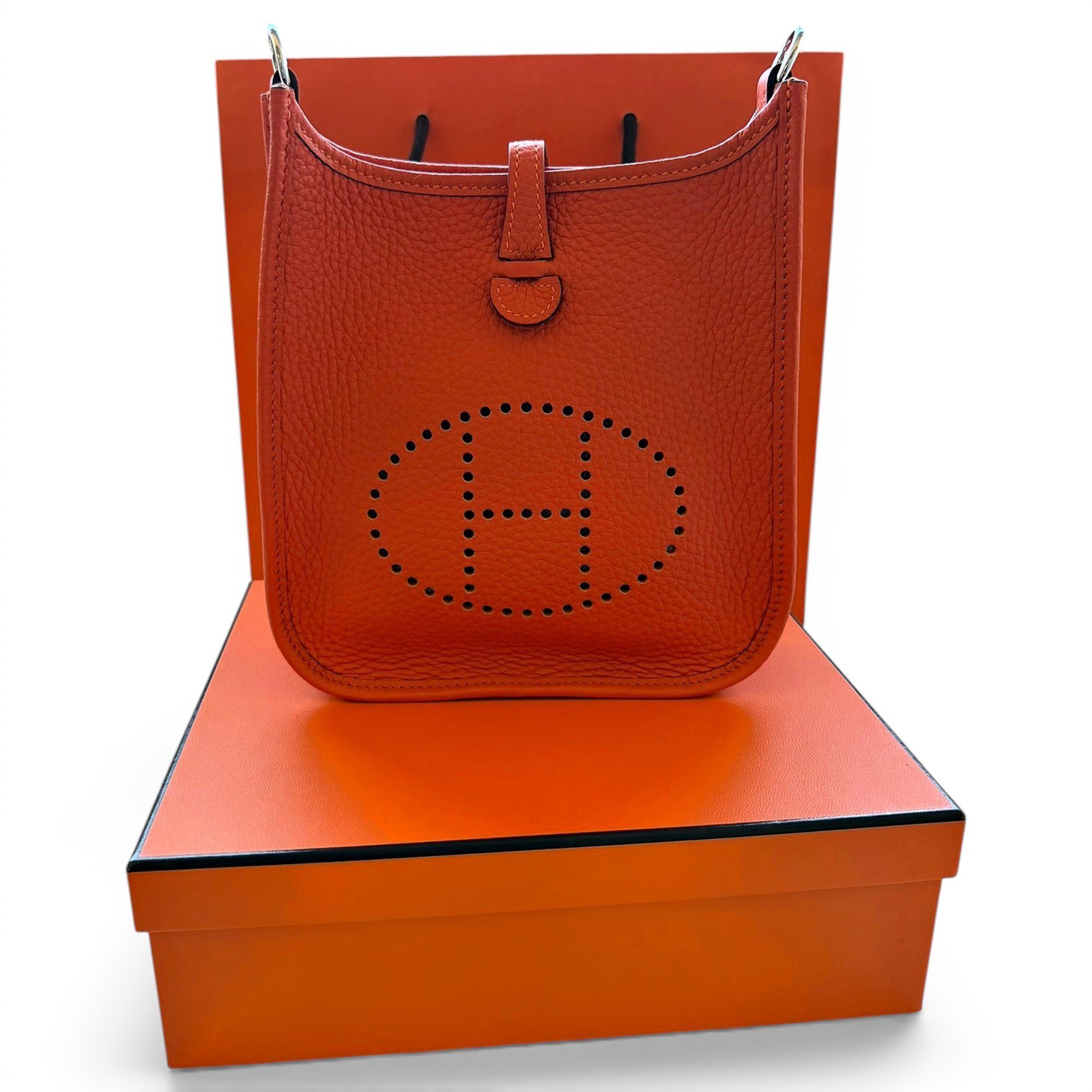 Mini Evelyne leather crossbody bag