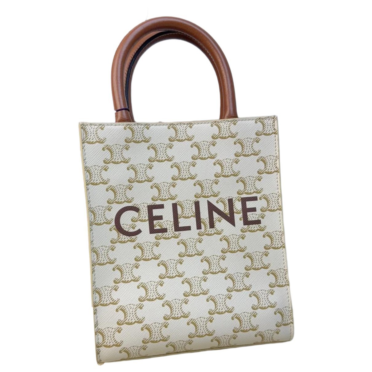 Triomphe leather mini bag