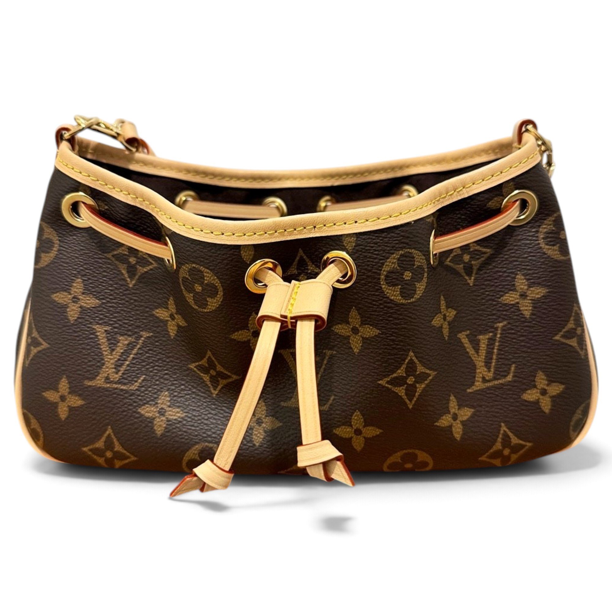 Nano Noé leather handbag