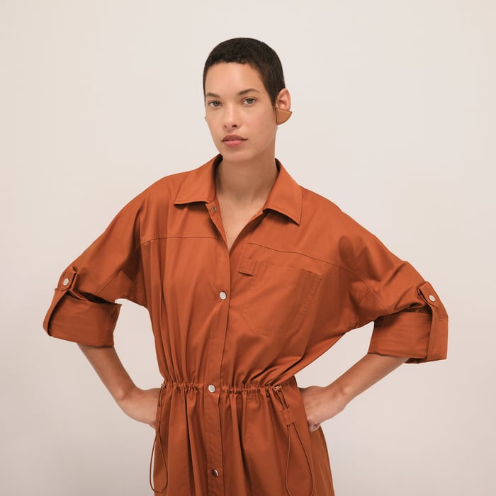 Marron Muscavado Shirt Dress