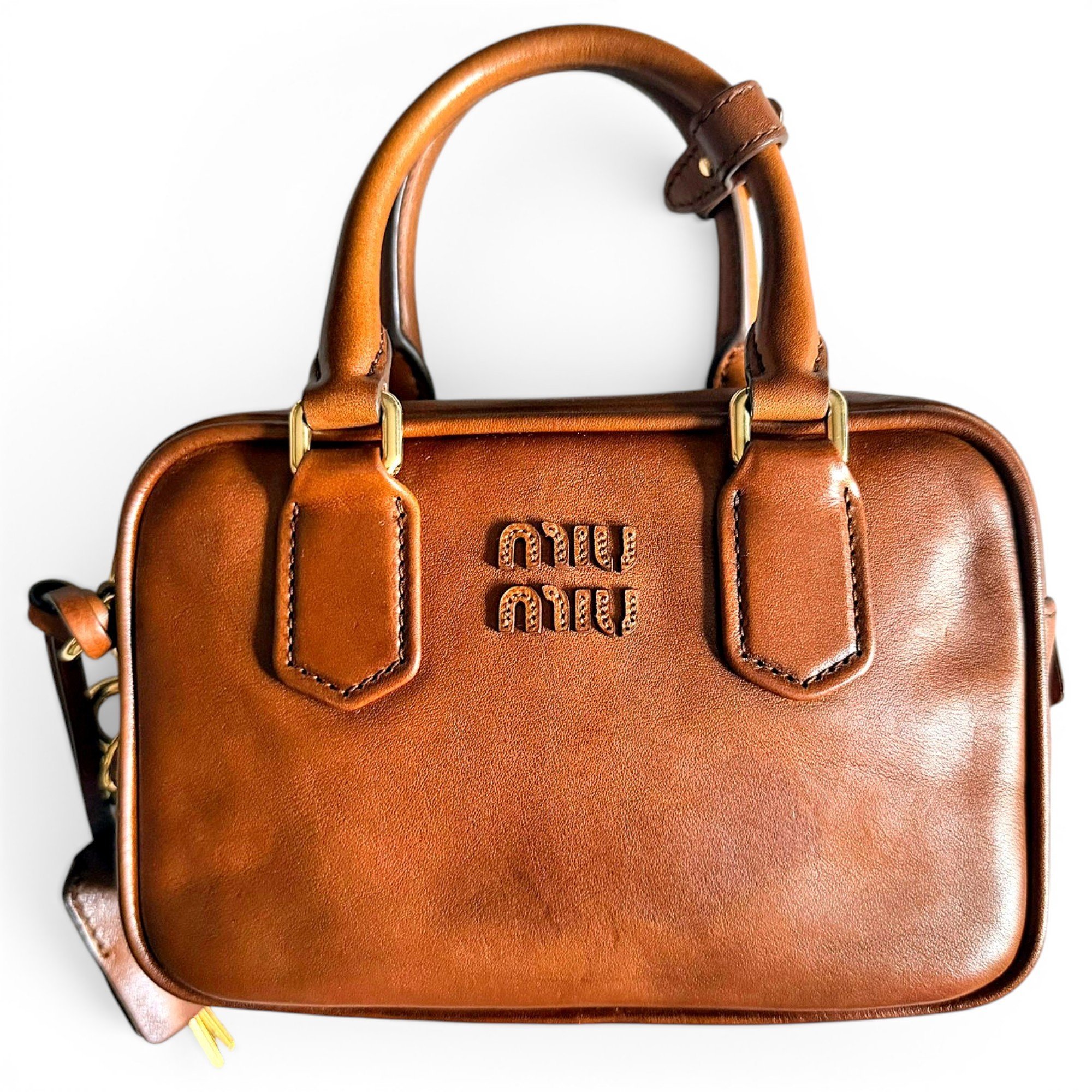Arcadie pony-style calfskin mini bag