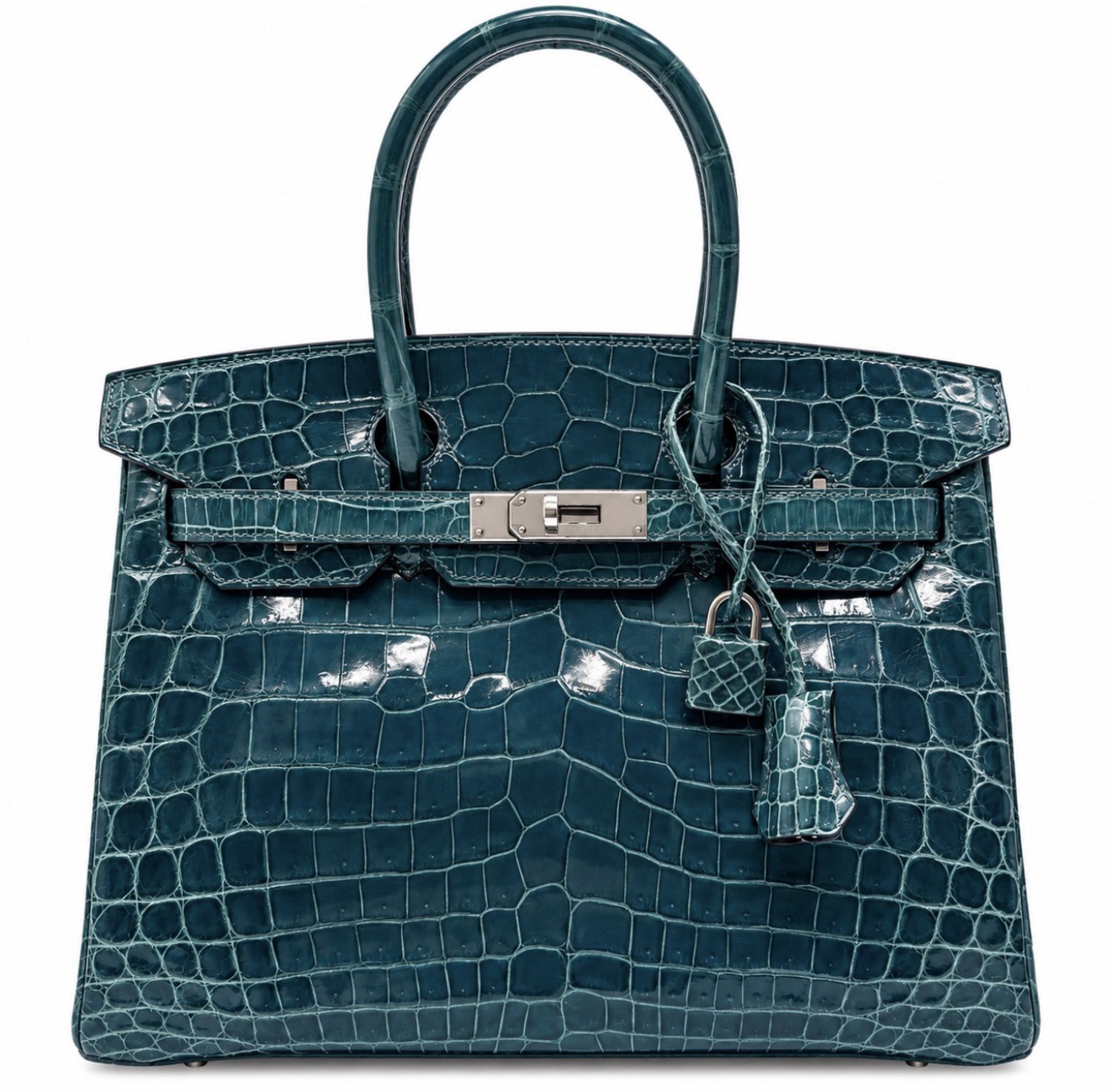 Niloticus Crocodile Birkin 30