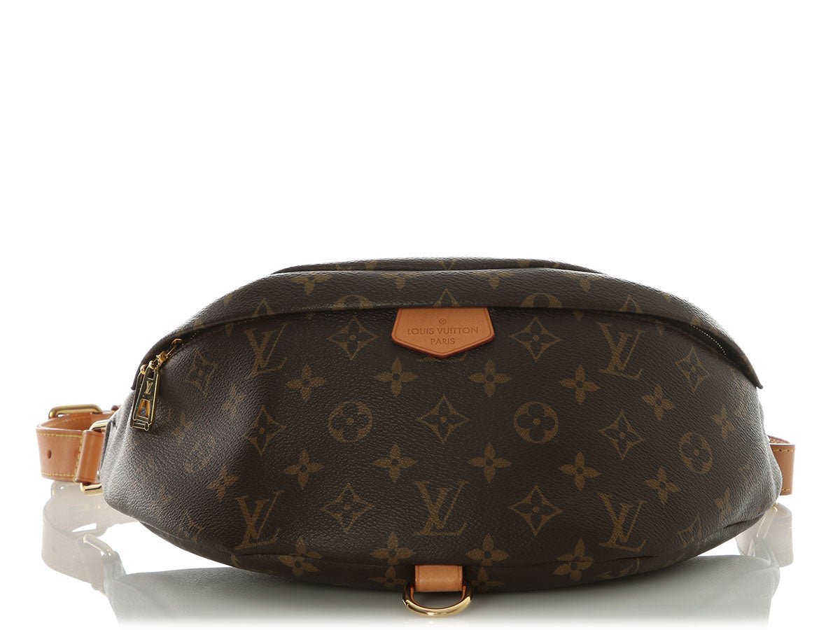 Louis Vuitton Louis Vuitton Monogram Bumbag