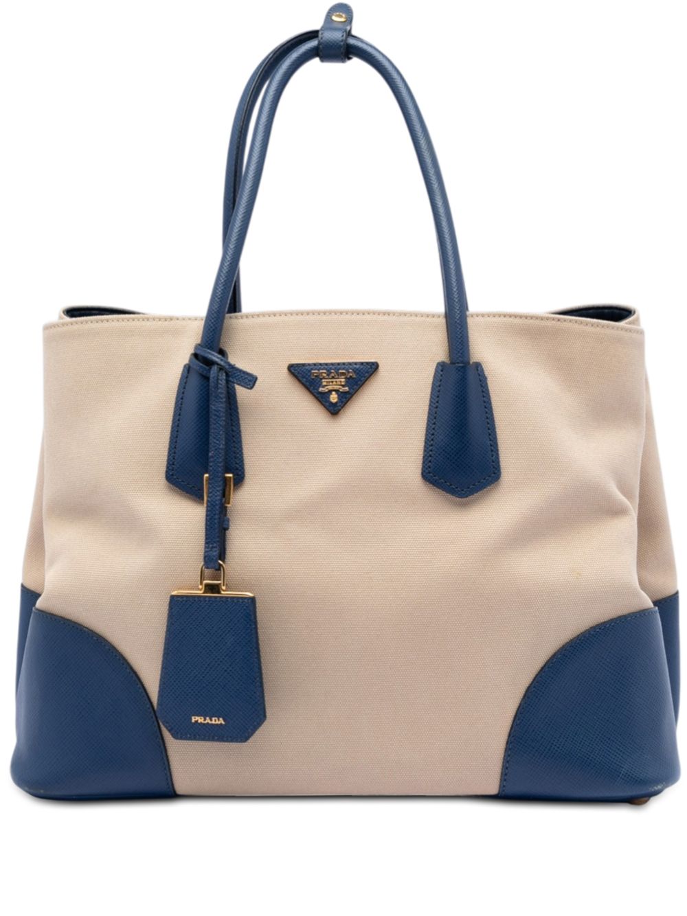 2010-2025 Large Canapa and Saffiano Double satchel