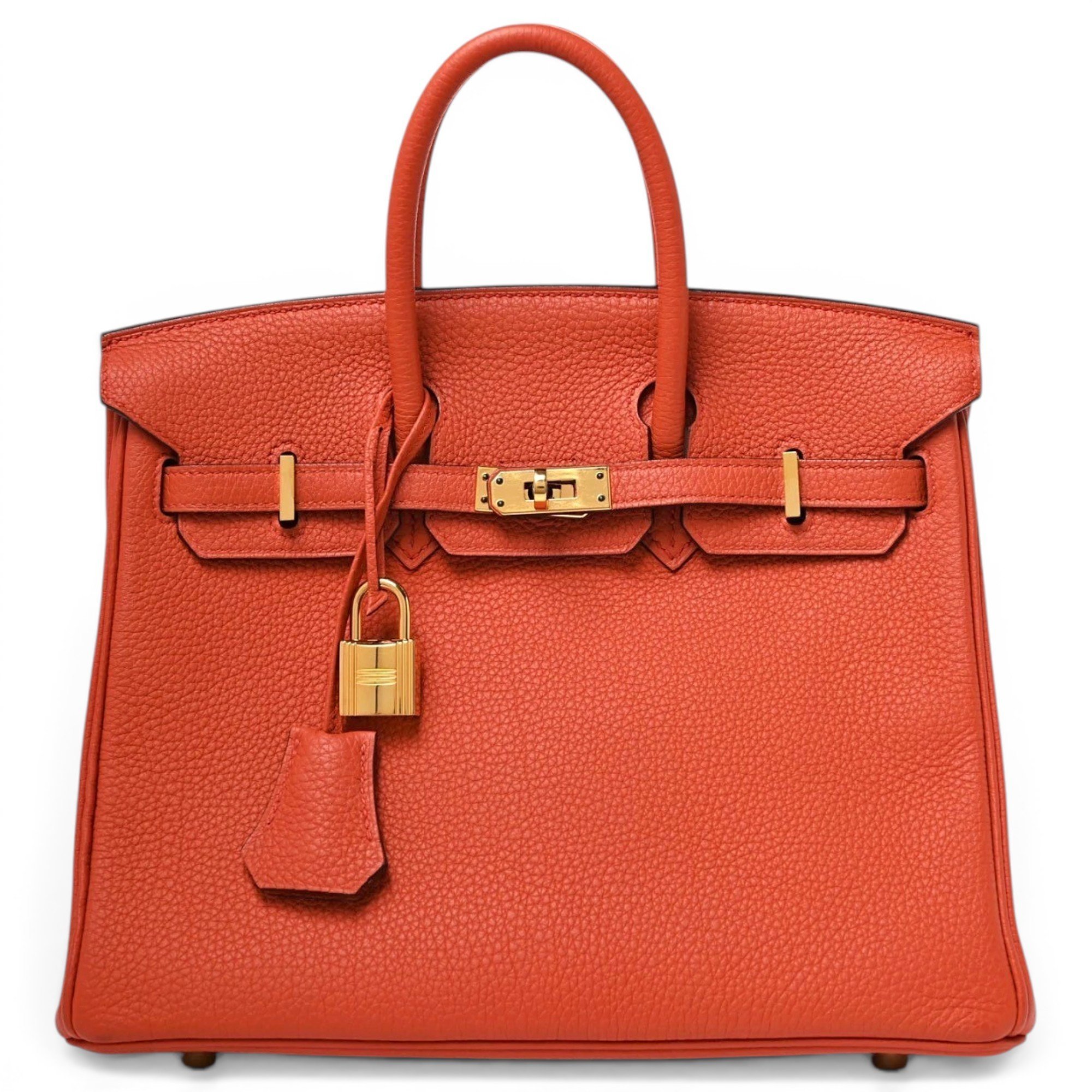 Hermes Birkin 25 Handbag Terre Battue Togo Leather