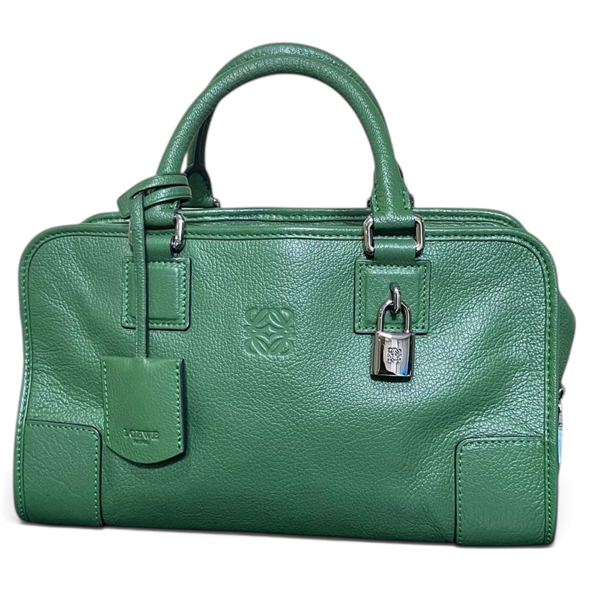 Amazona leather handbag
