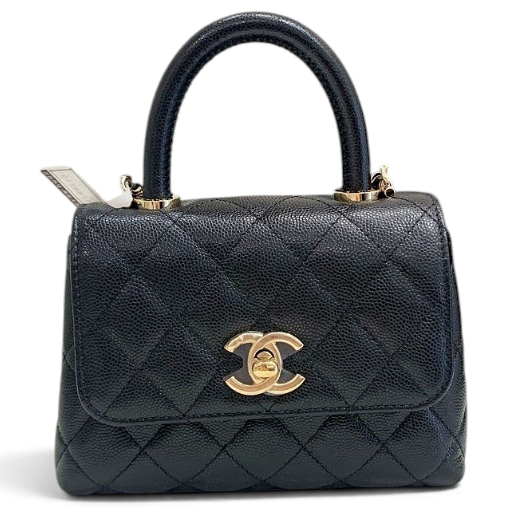 Coco Handle leather handbag