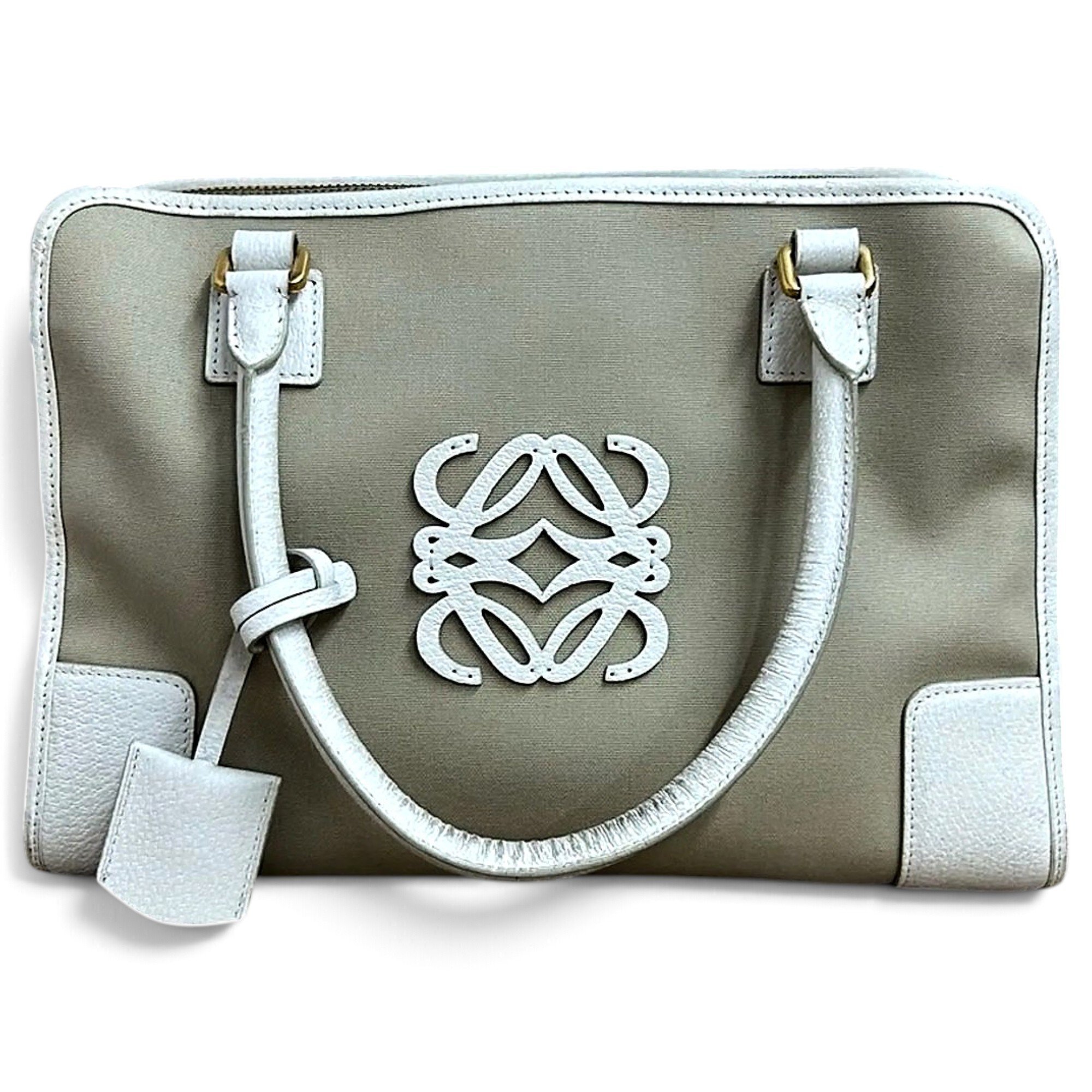 Amazona cloth handbag