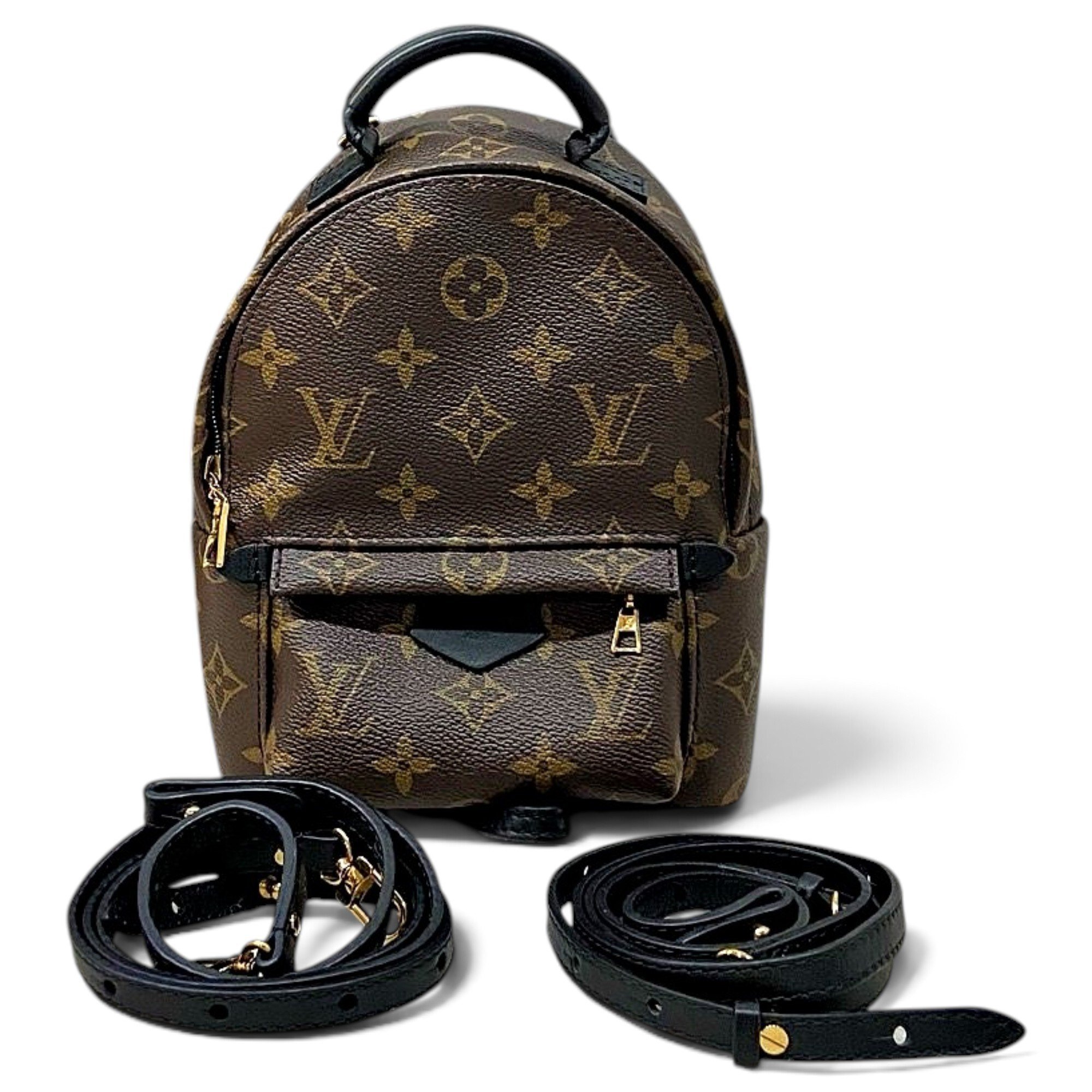 Palm Springs backpack