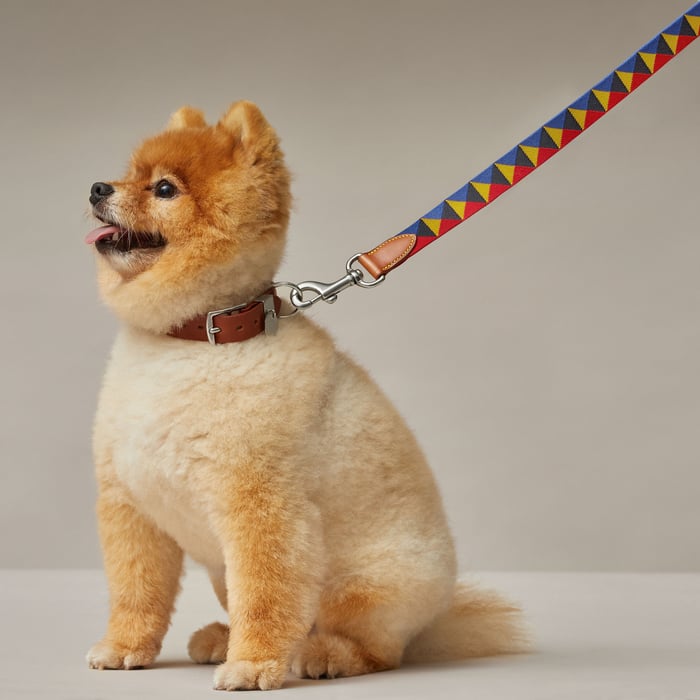 Dark Irish Medor Dog Leash