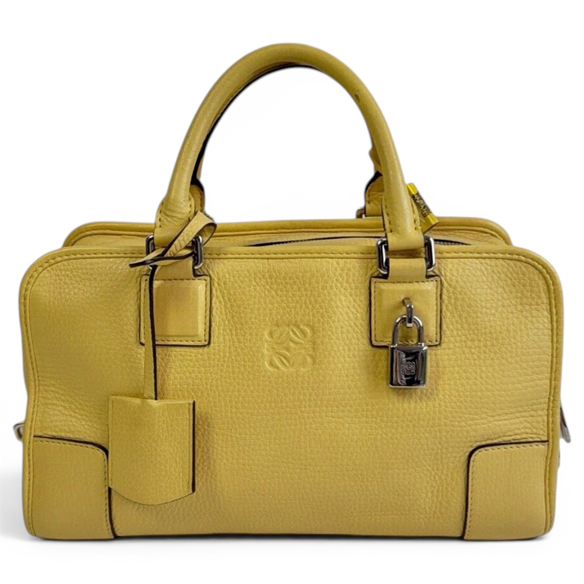 Amazona leather handbag