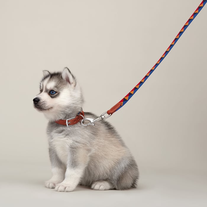 Dark Irish Medor Slim Dog Leash