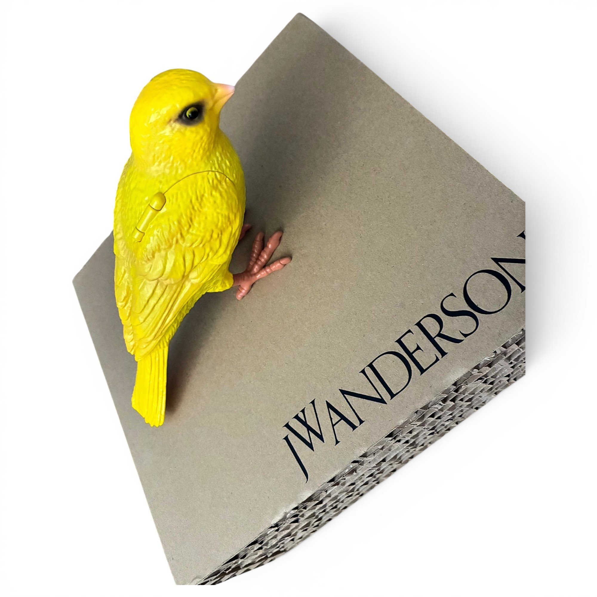 JW Anderson Clutch bag