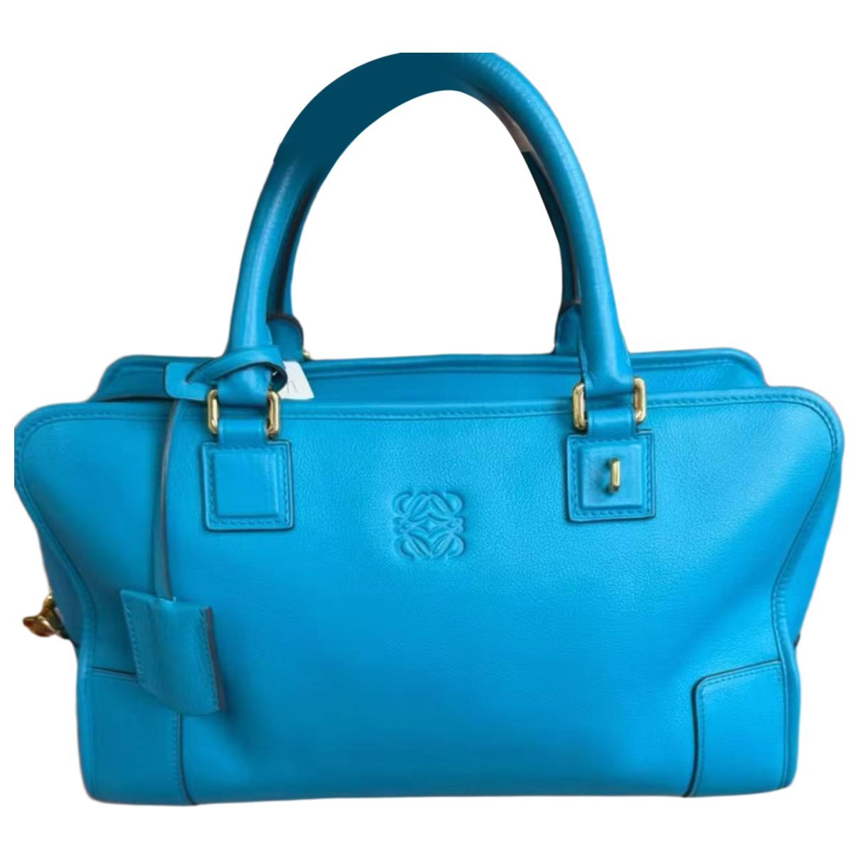 Amazona leather tote