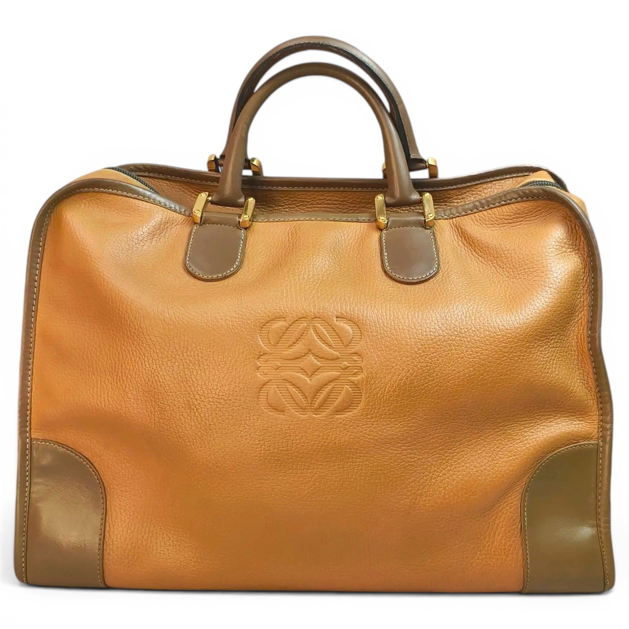 Amazona leather handbag