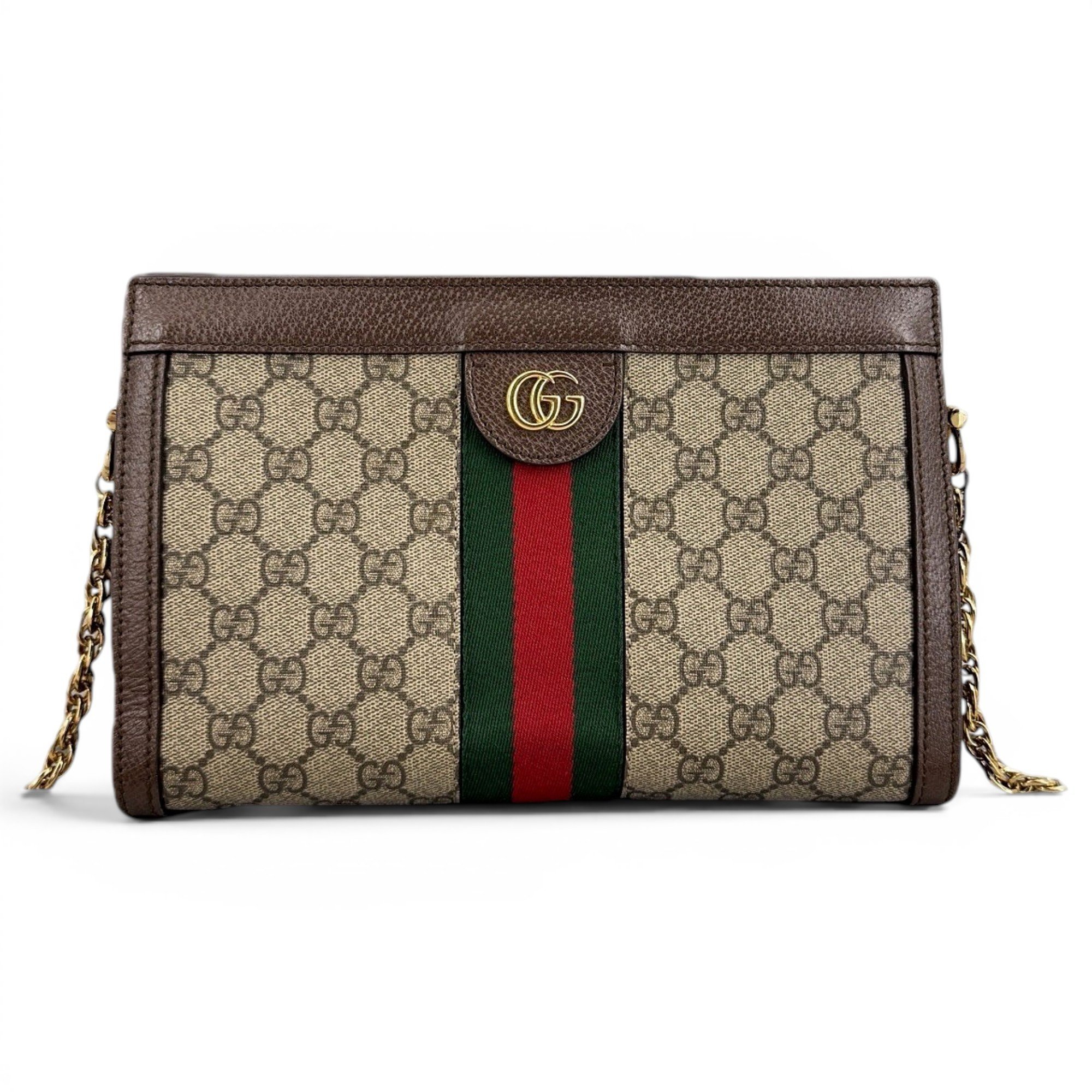 Ophidia Chain leather handbag
