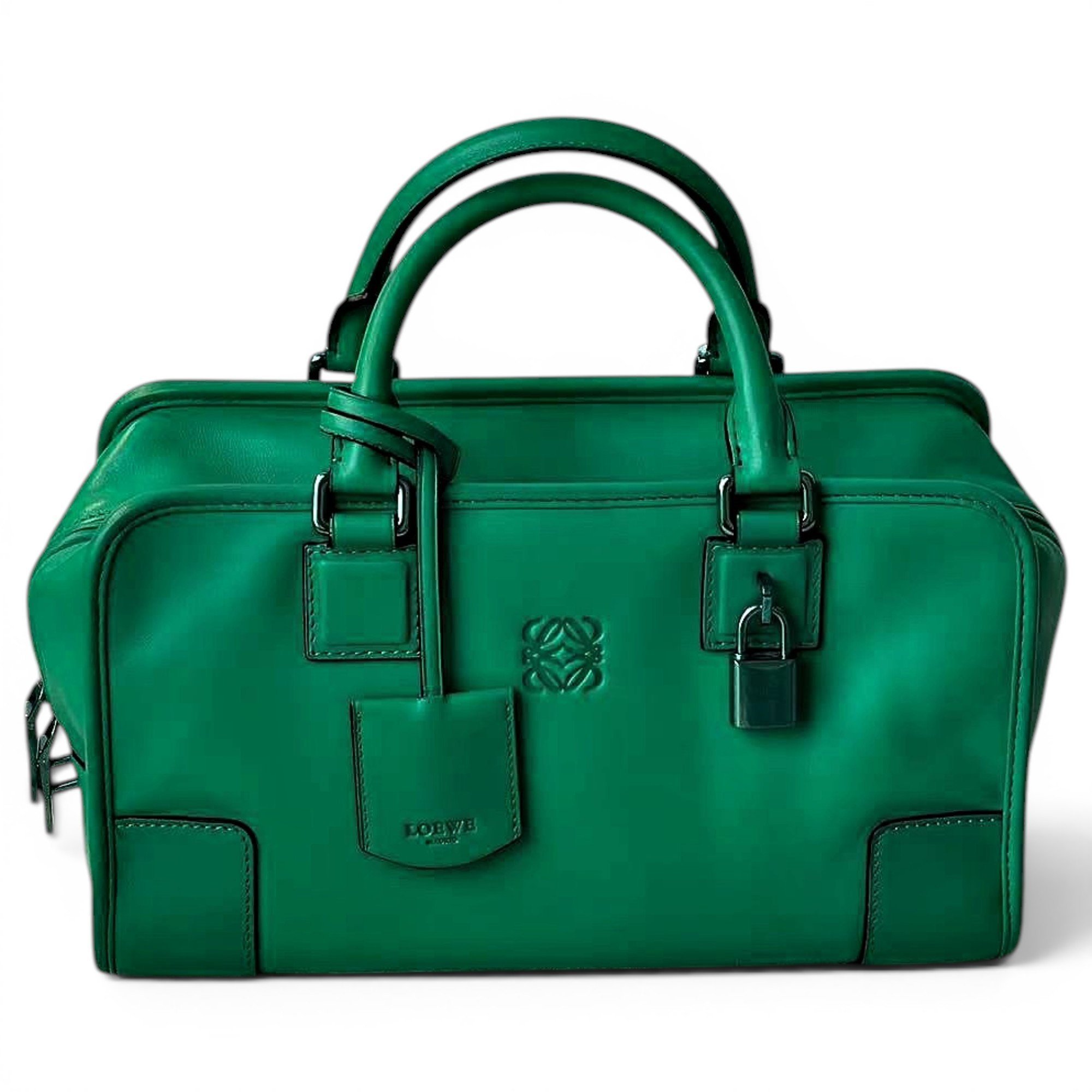 Amazona leather handbag