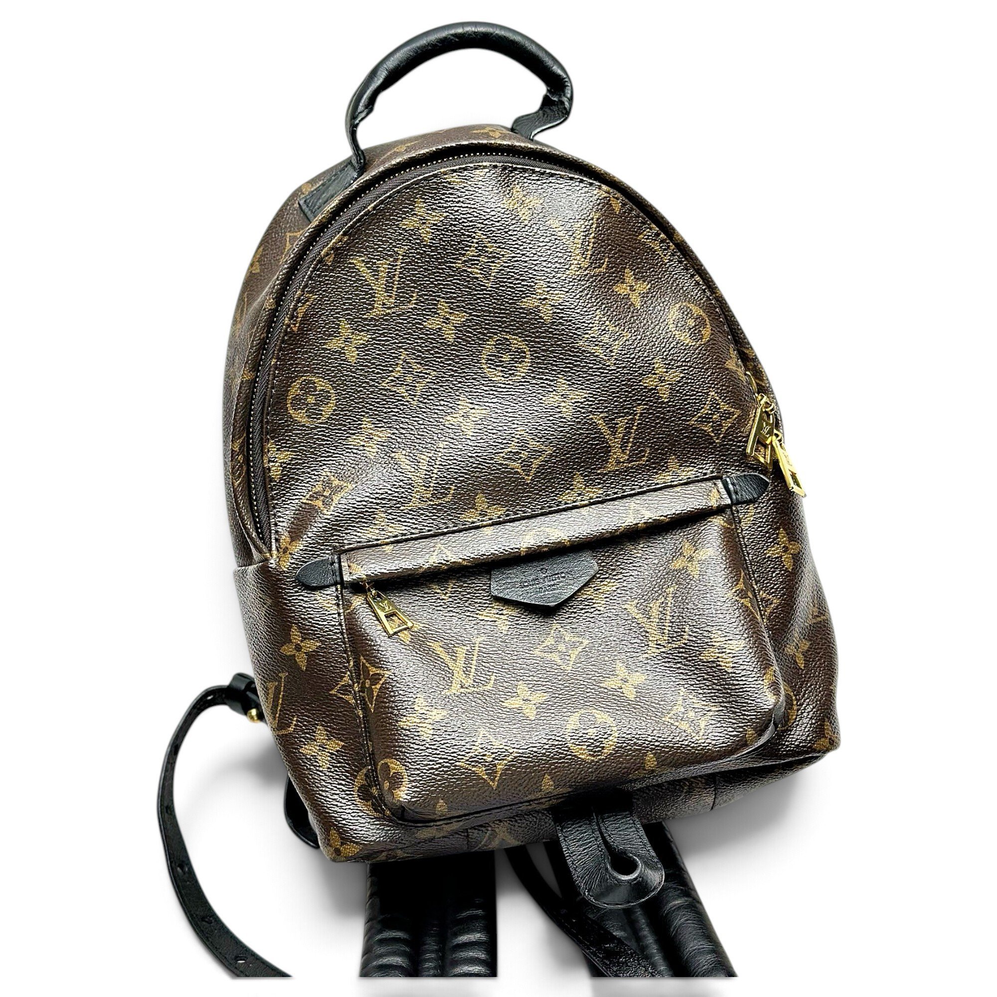 Palm Springs backpack