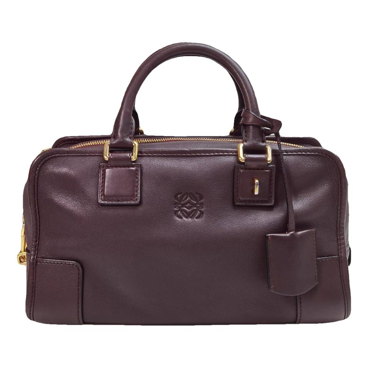 Amazona leather handbag