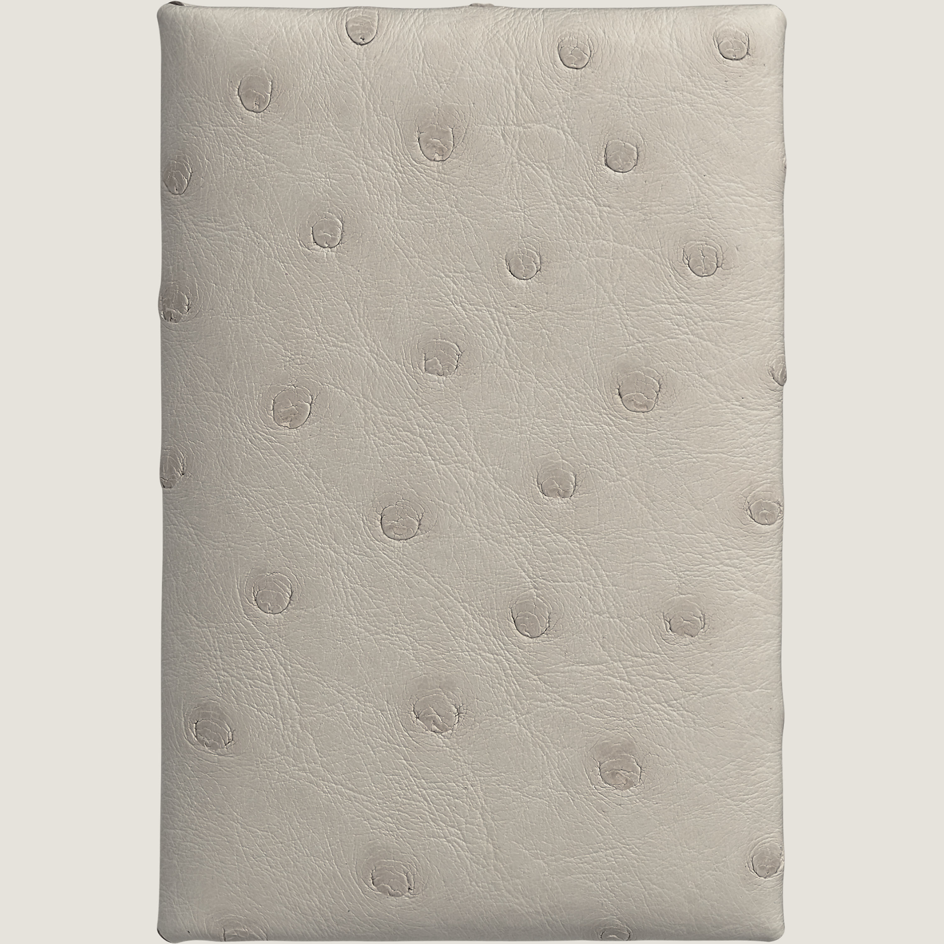 Calvi card holder