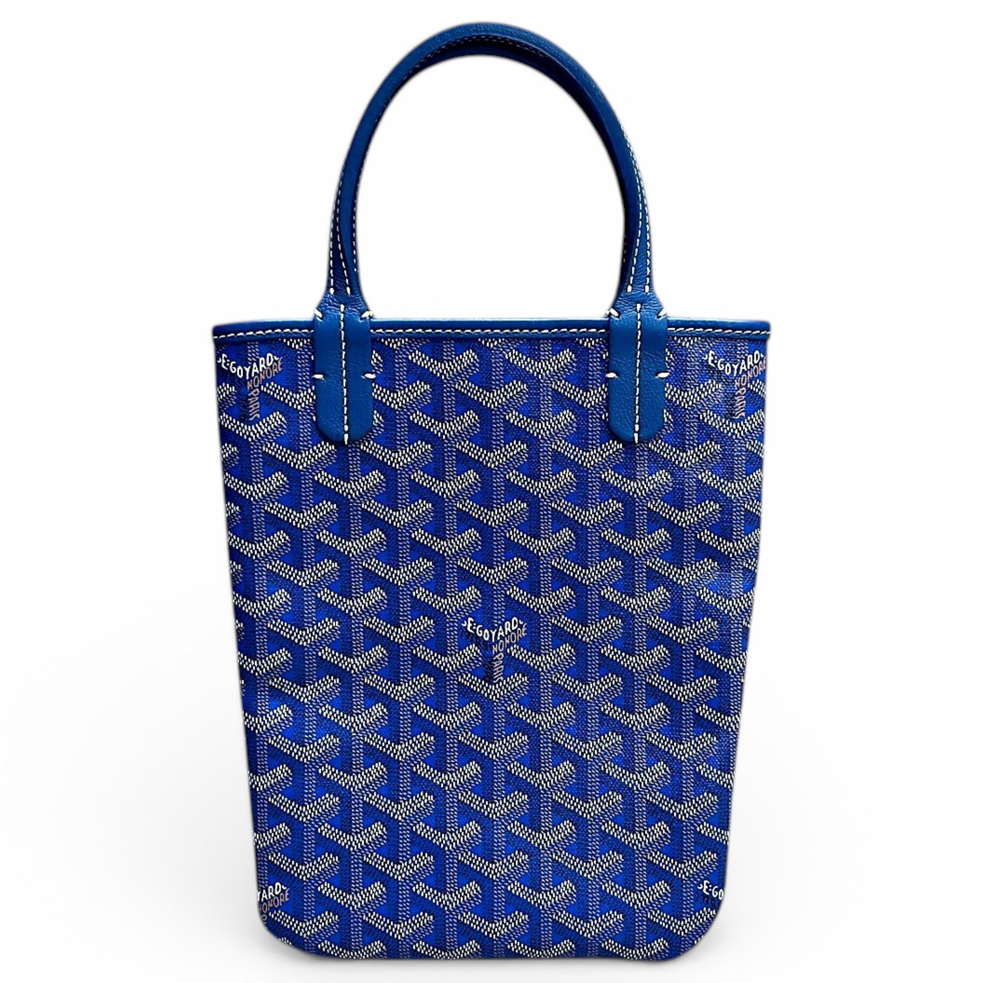 Goyard Marie Gallante leather handbag