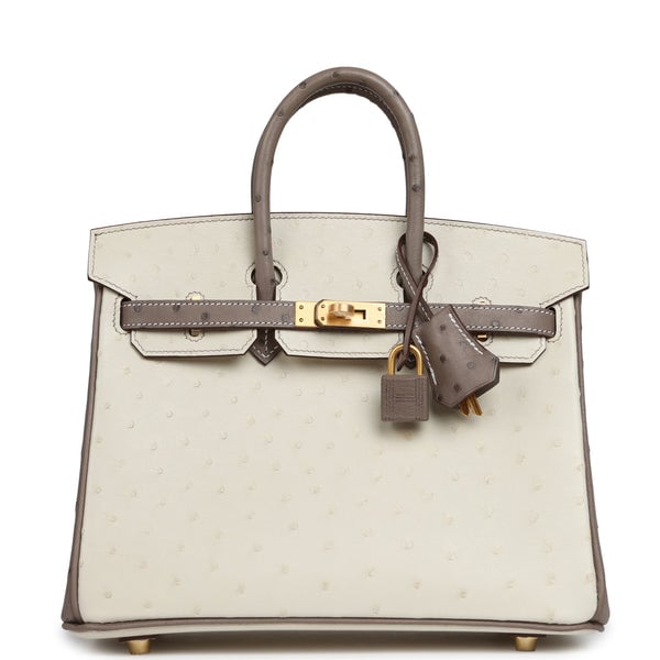 Hermes Special Order (HSS) Birkin 25 Beton, Gris Tourterelle Ostrich Brushed Gold Hardware