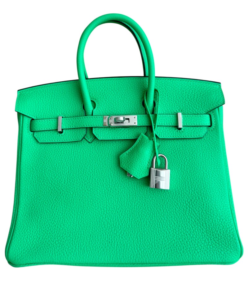 Vert Comics Togo Birkin 25 Palladium Hardware, 2024