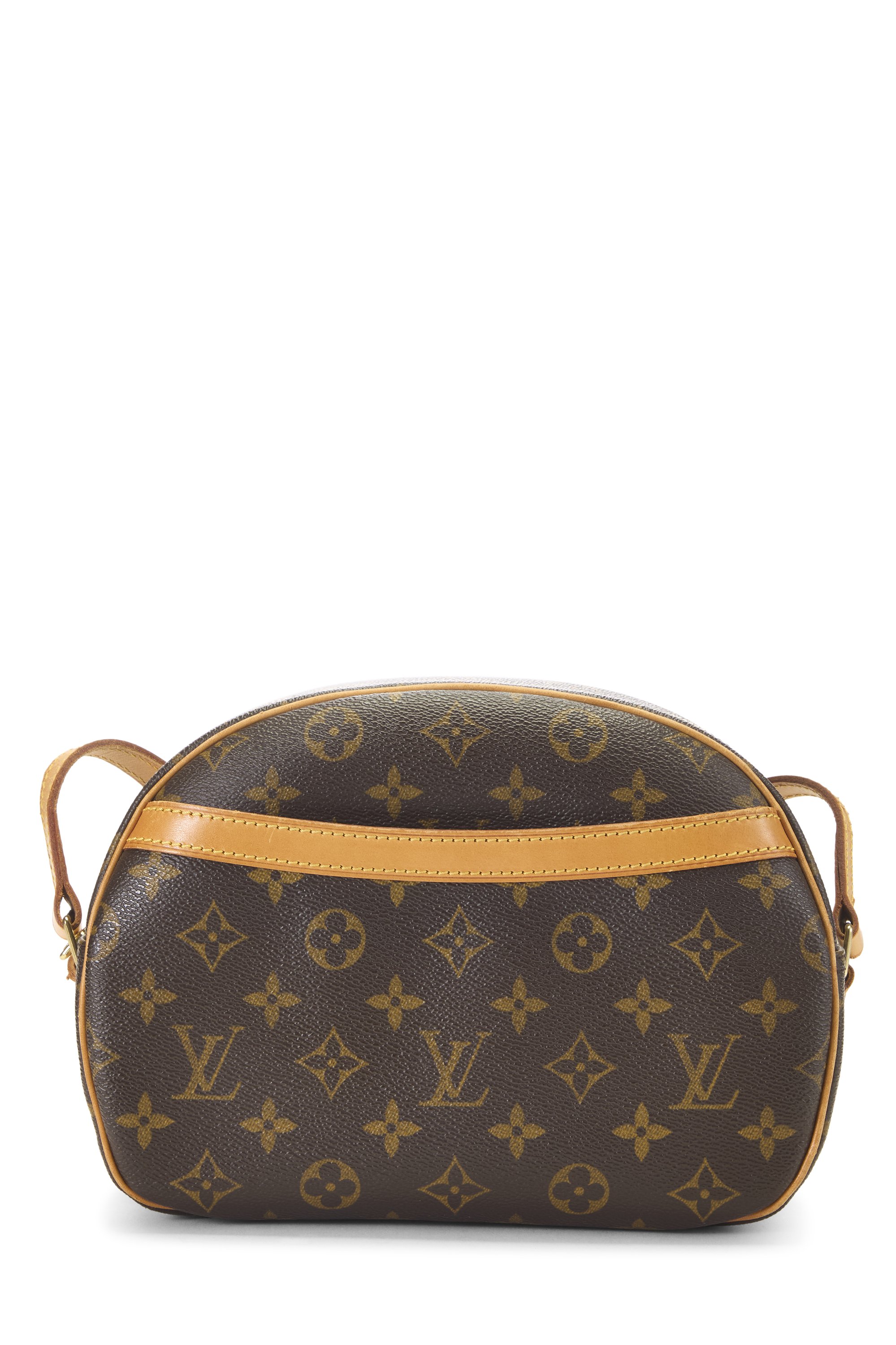 Monogram Canvas Blois