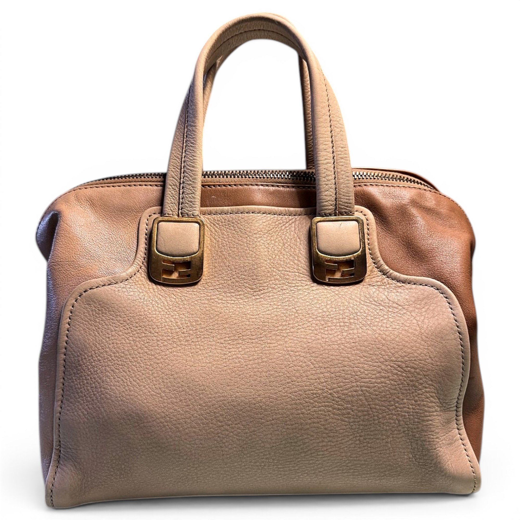 Chameleon leather tote
