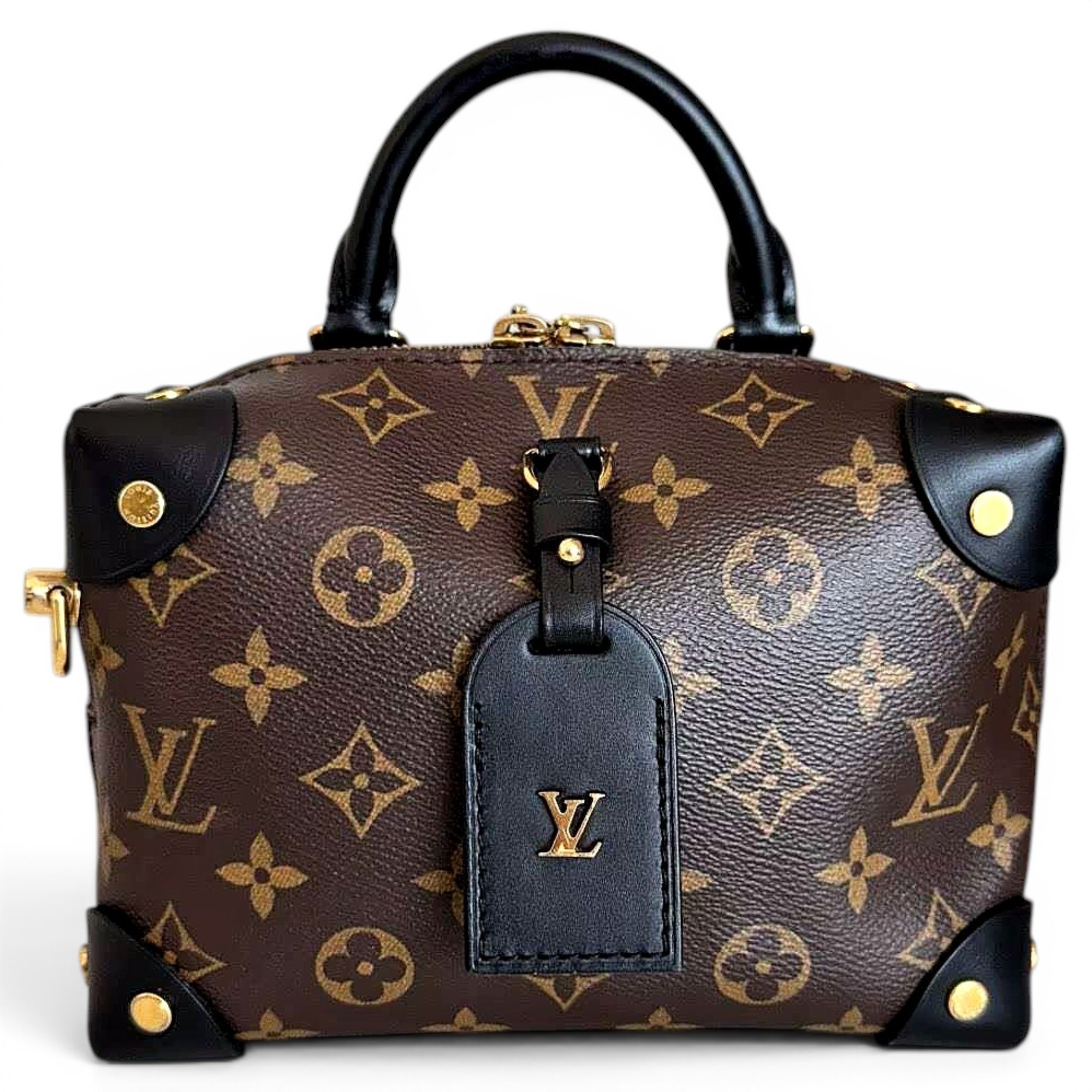 Petite Malle Souple leather handbag
