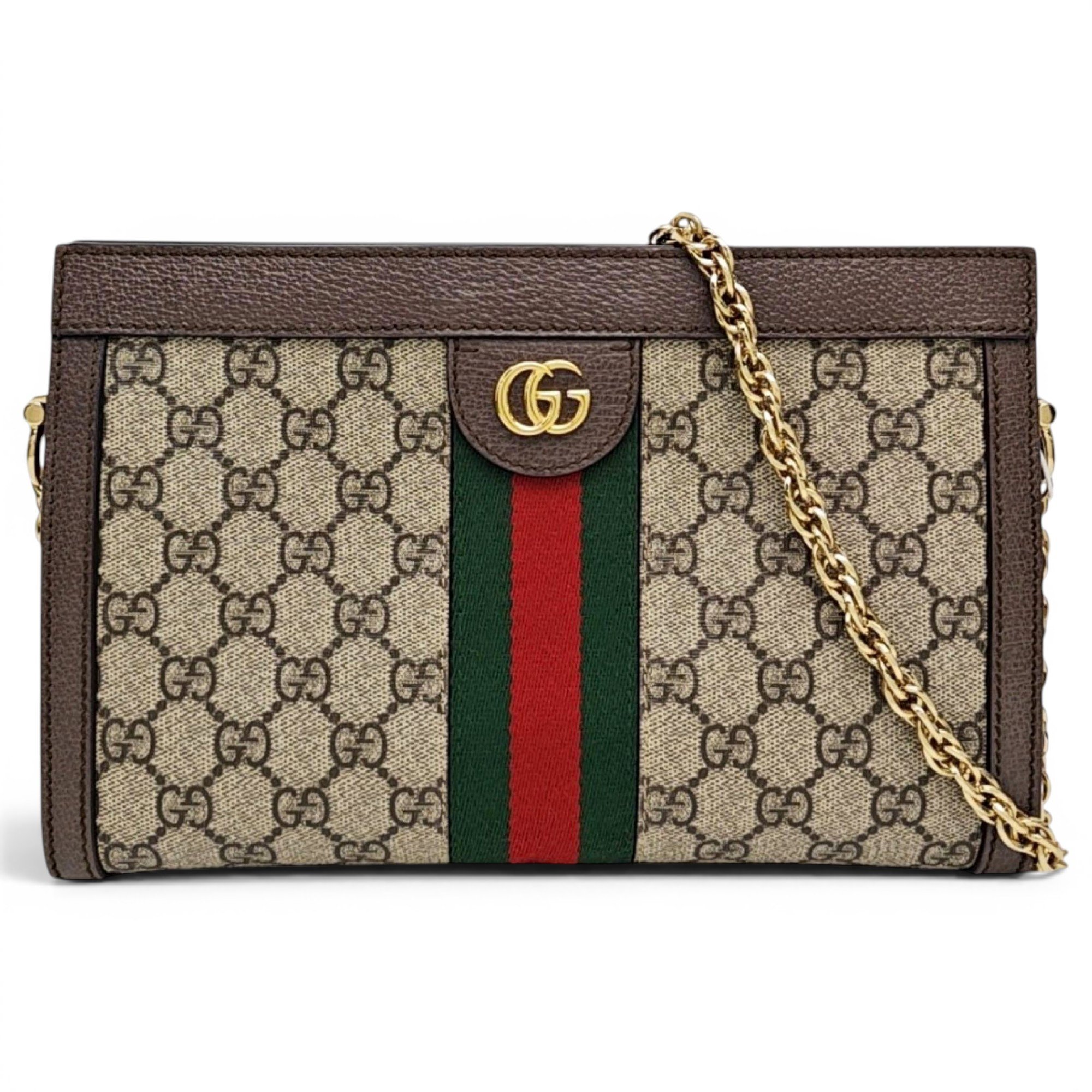 Ophidia Chain leather handbag