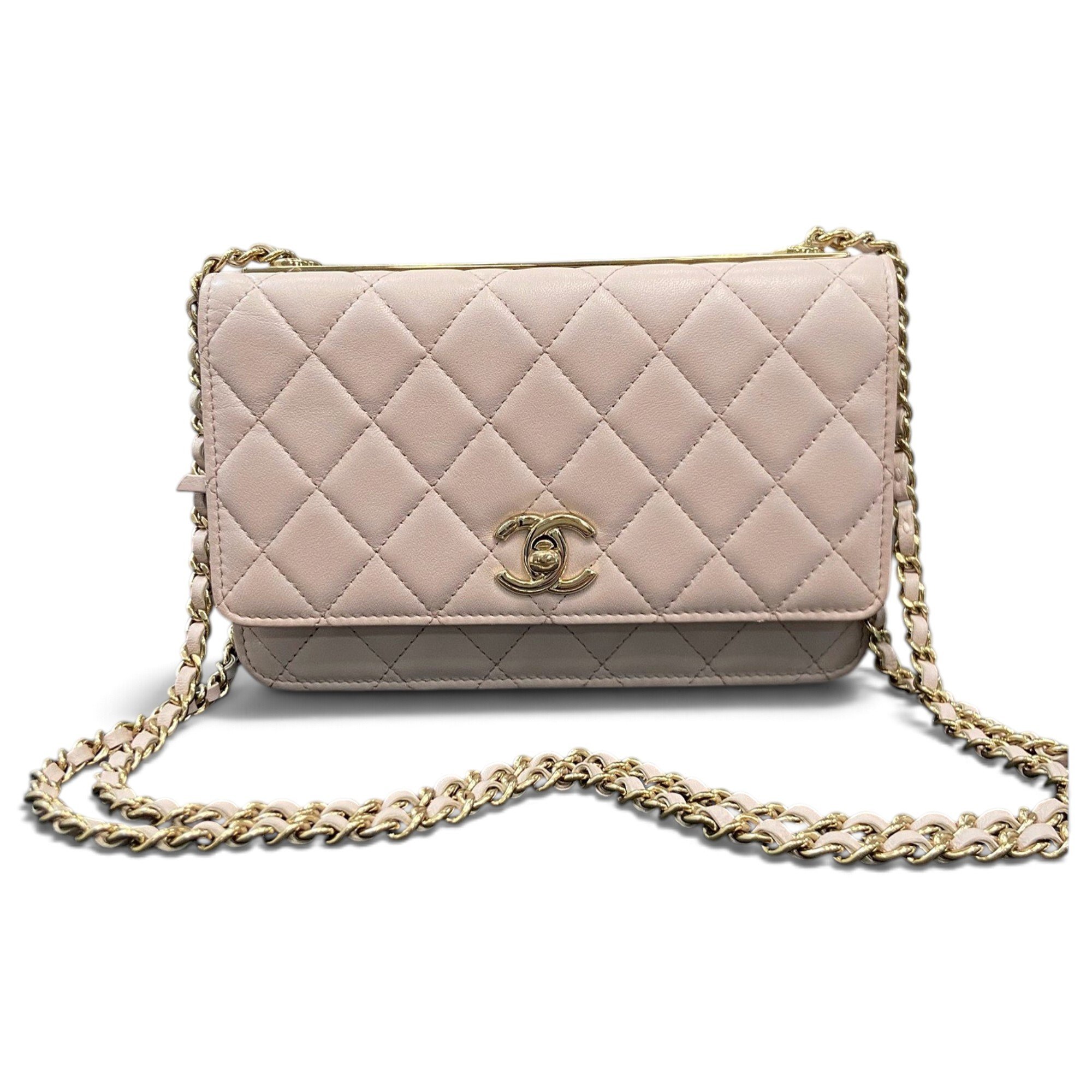Trendy CC Wallet on Chain leather handbag