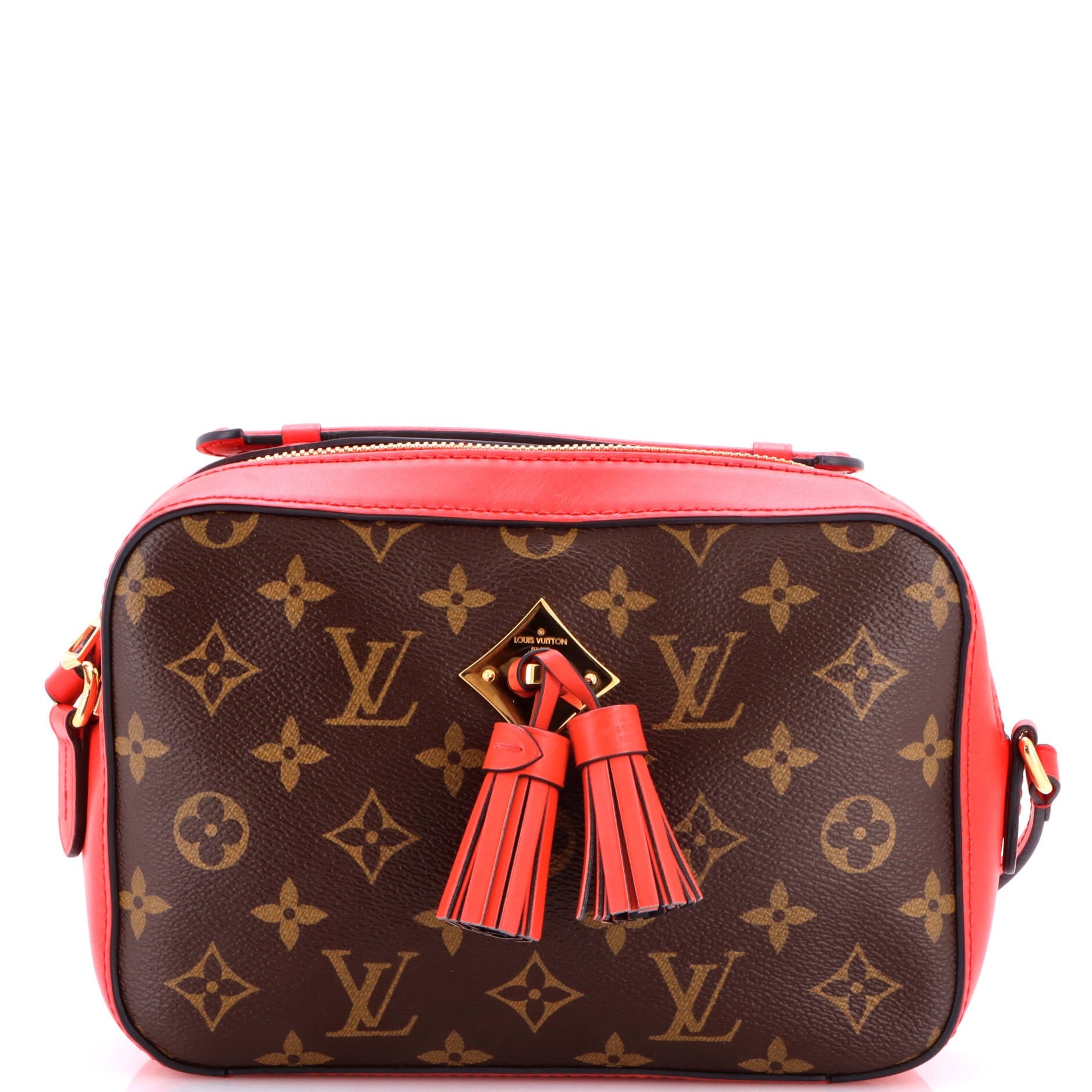 Saintonge Handbag Monogram Canvas with Leather