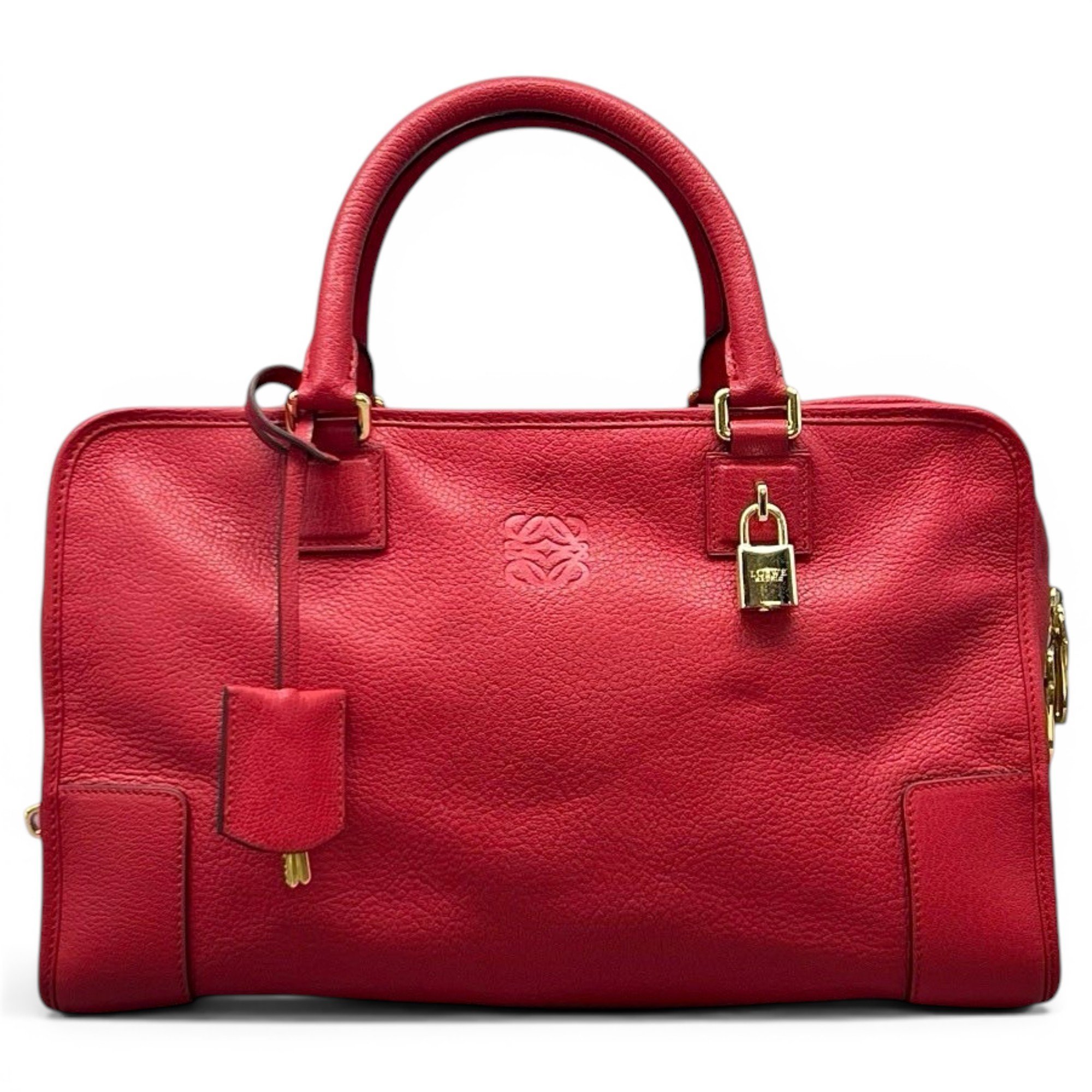 Amazona leather handbag