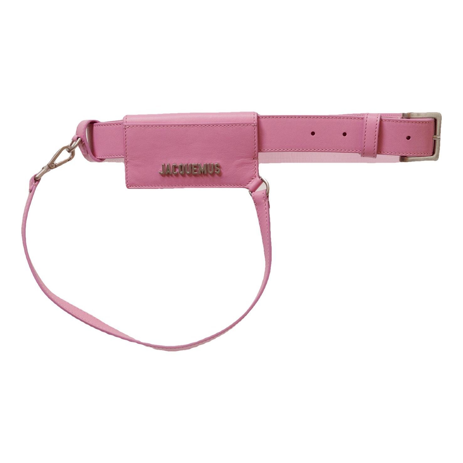 Le Porte Ceinture leather mini bag