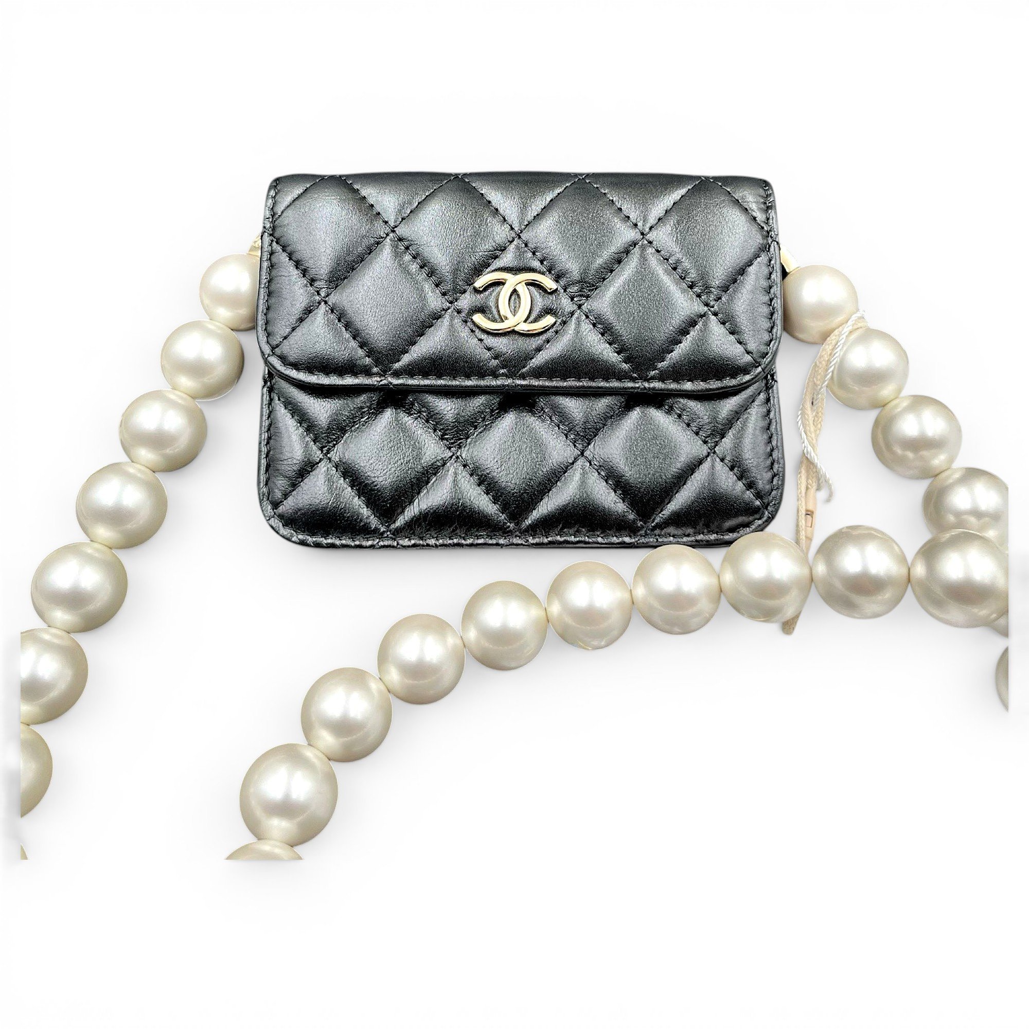 Wallet On Chain Timeless/Classique leather mini bag