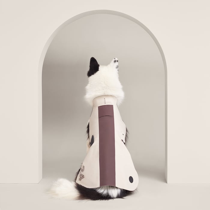 Course 24 Dog Raincoat, M and L