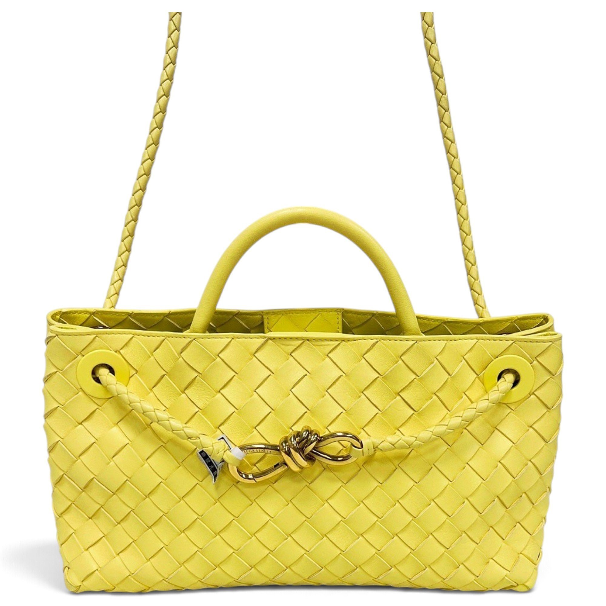 Bottega Veneta Andiamo leather handbag